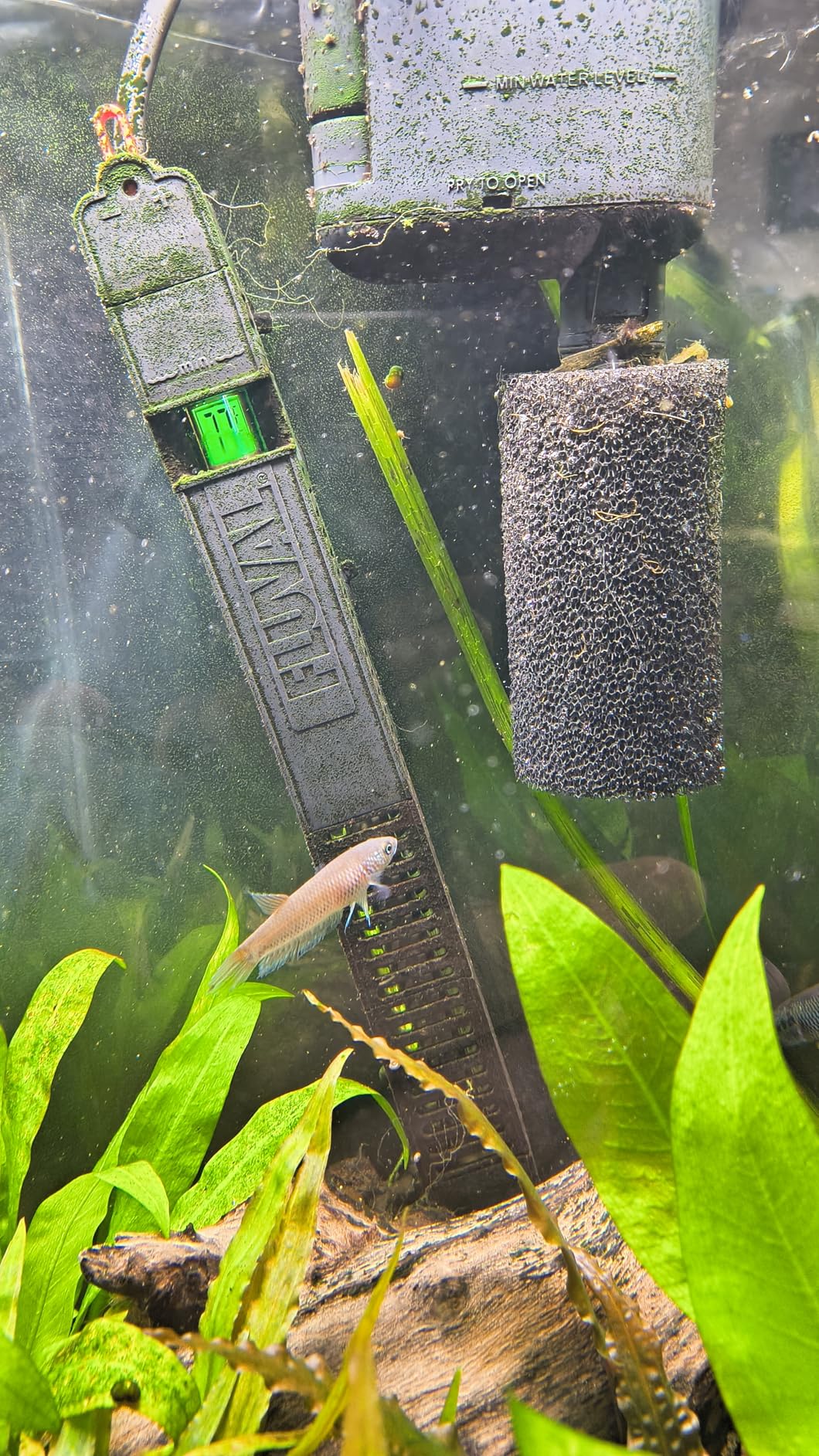 Fluval E 300 Watt Electronic Heater customer photo 1