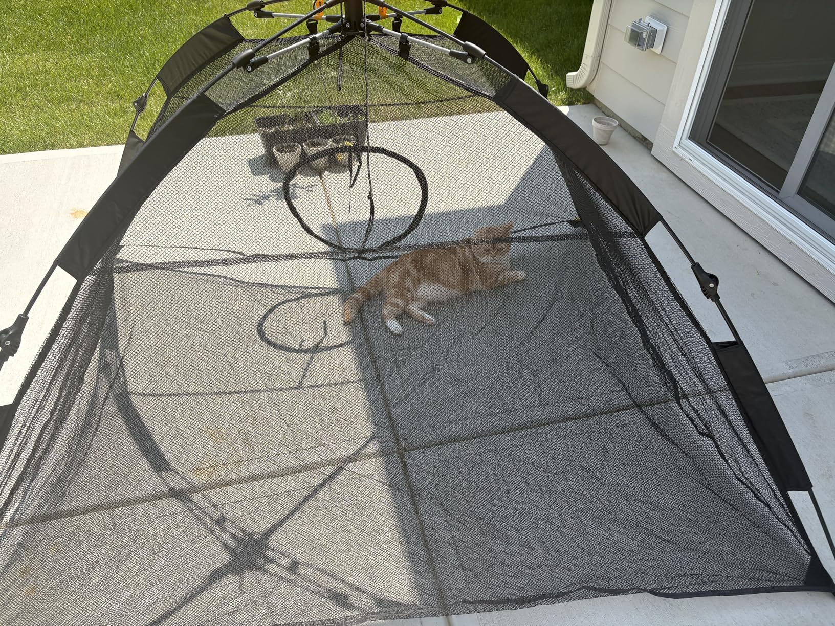 Outback Jack Cat Tent Large for Outdoor or Indoor Enclosures - Portable Playhouse Play Tents for Outside or Inside Cats & Small Animals, Kitten House Happy Habitat customer photo 1