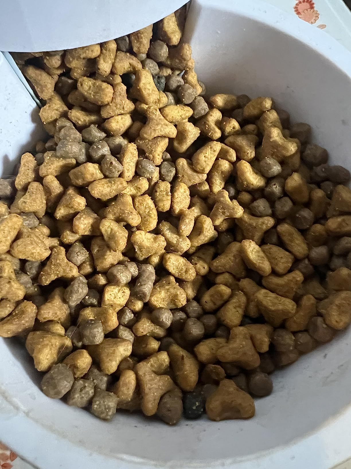 Blue Buffalo Wilderness with Salmon Natural High-Protein Grain-Free Dry Food for Adult Cats, 11 lbs customer photo 1