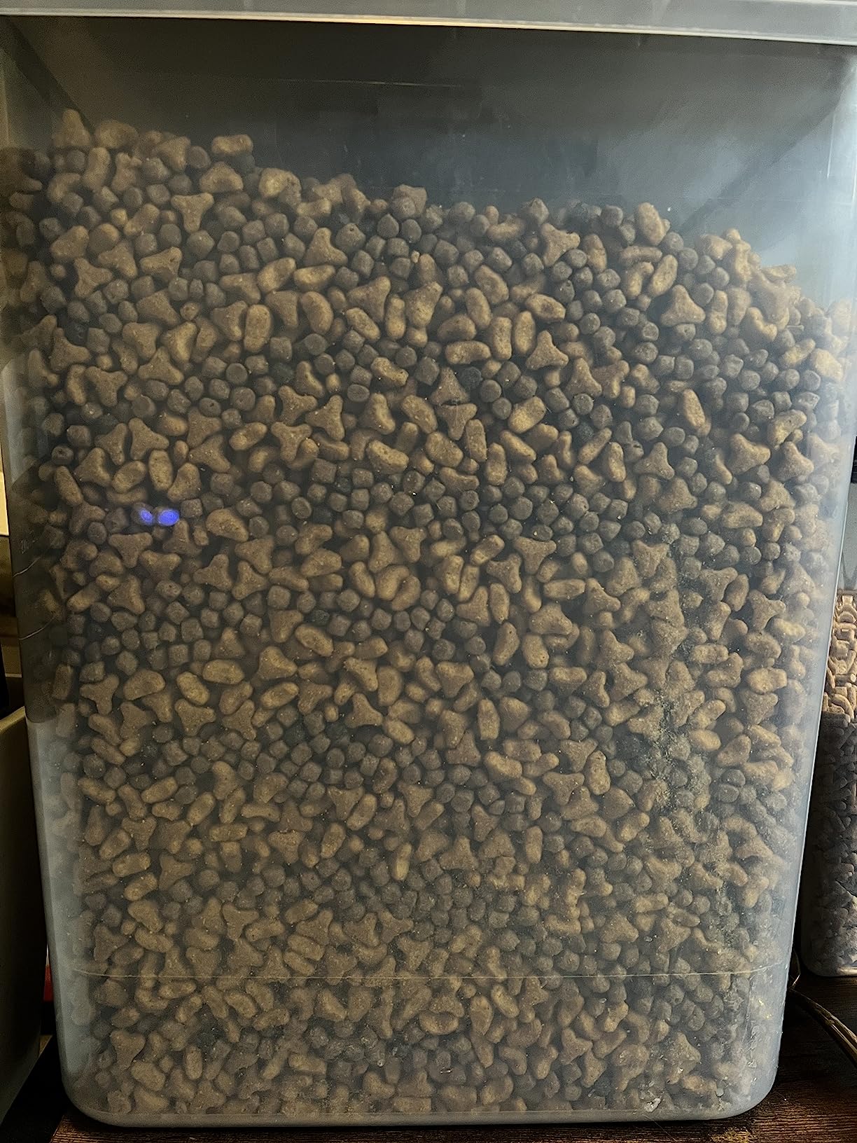 Blue Buffalo Wilderness with Salmon Natural High-Protein Grain-Free Dry Food for Adult Cats, 11 lbs customer photo 2