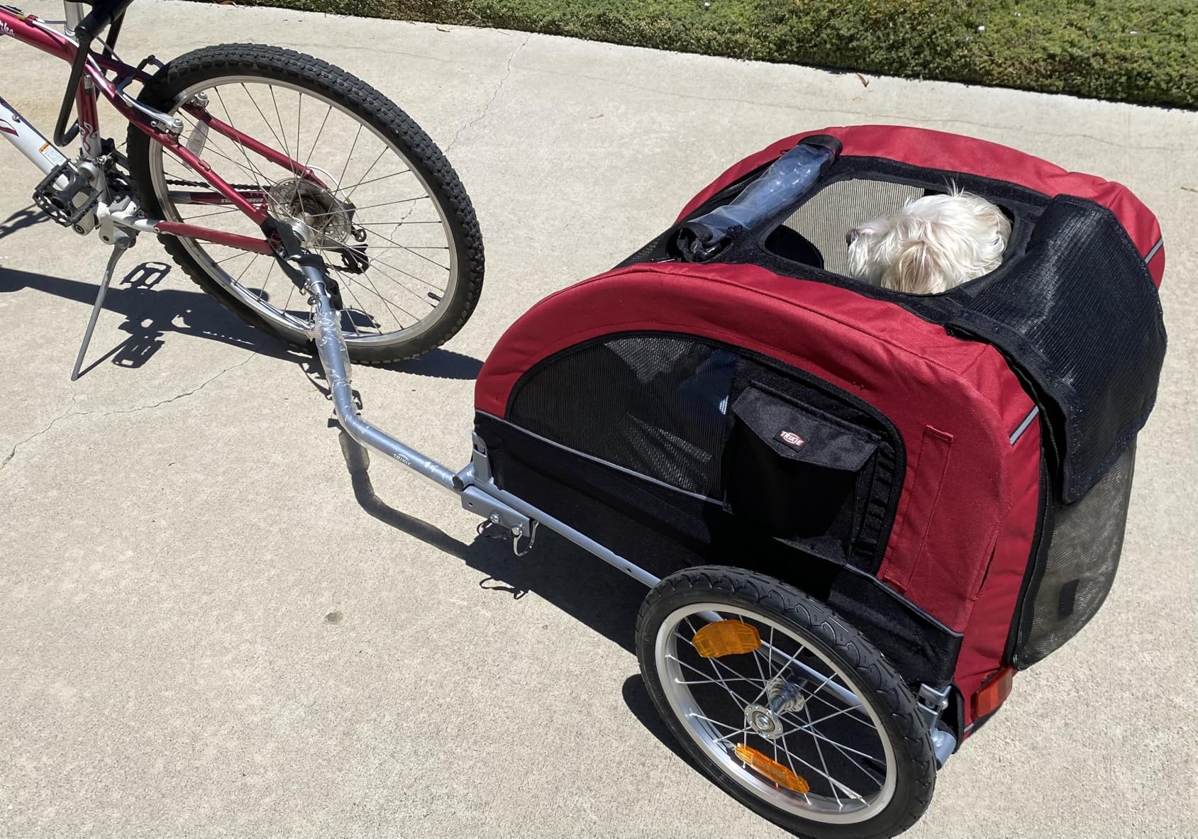 TRIXIE Dog Trailer for Bicycles, Dog Bike Trailer for Small Dogs up to 33 lbs, Quick Set-up and Fold Down, Red customer photo 1