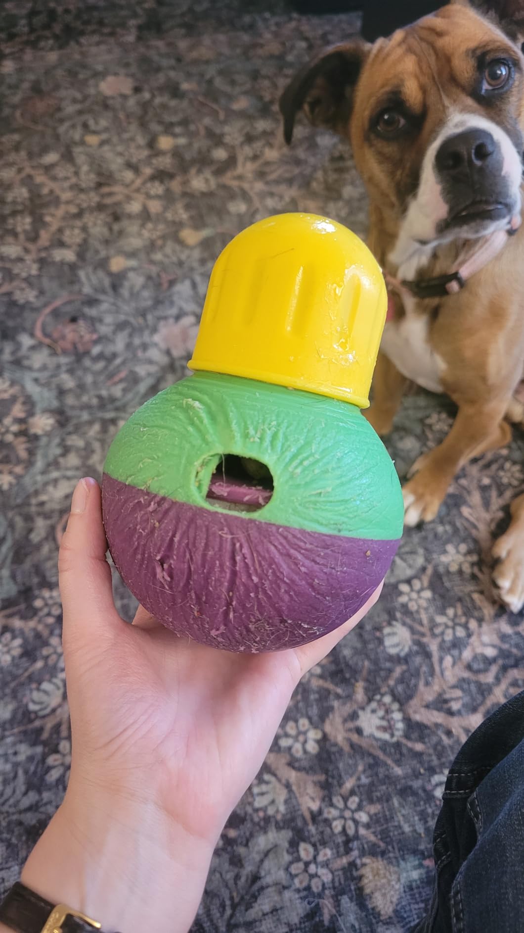 StarMark Bob-A-Lot Interactive Dog Toy, Small customer photo 1