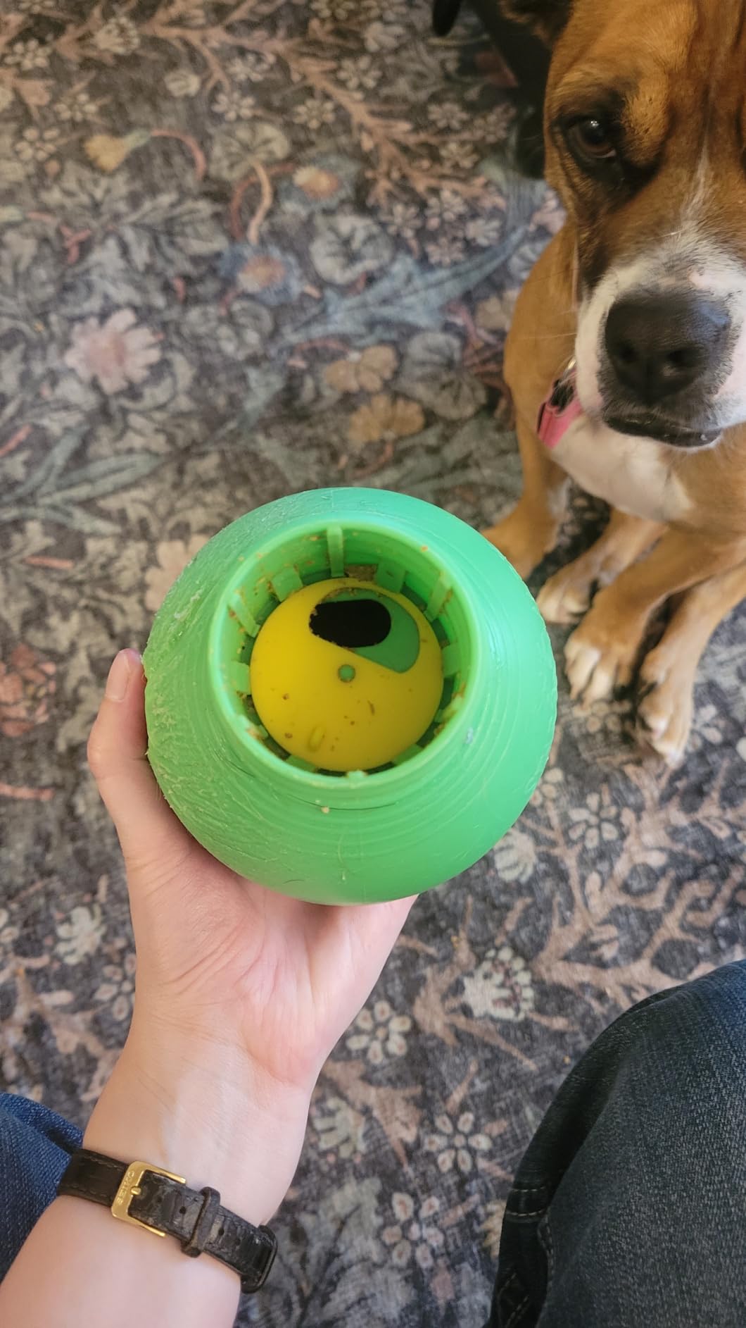 StarMark Bob-A-Lot Interactive Dog Toy, Small customer photo 2