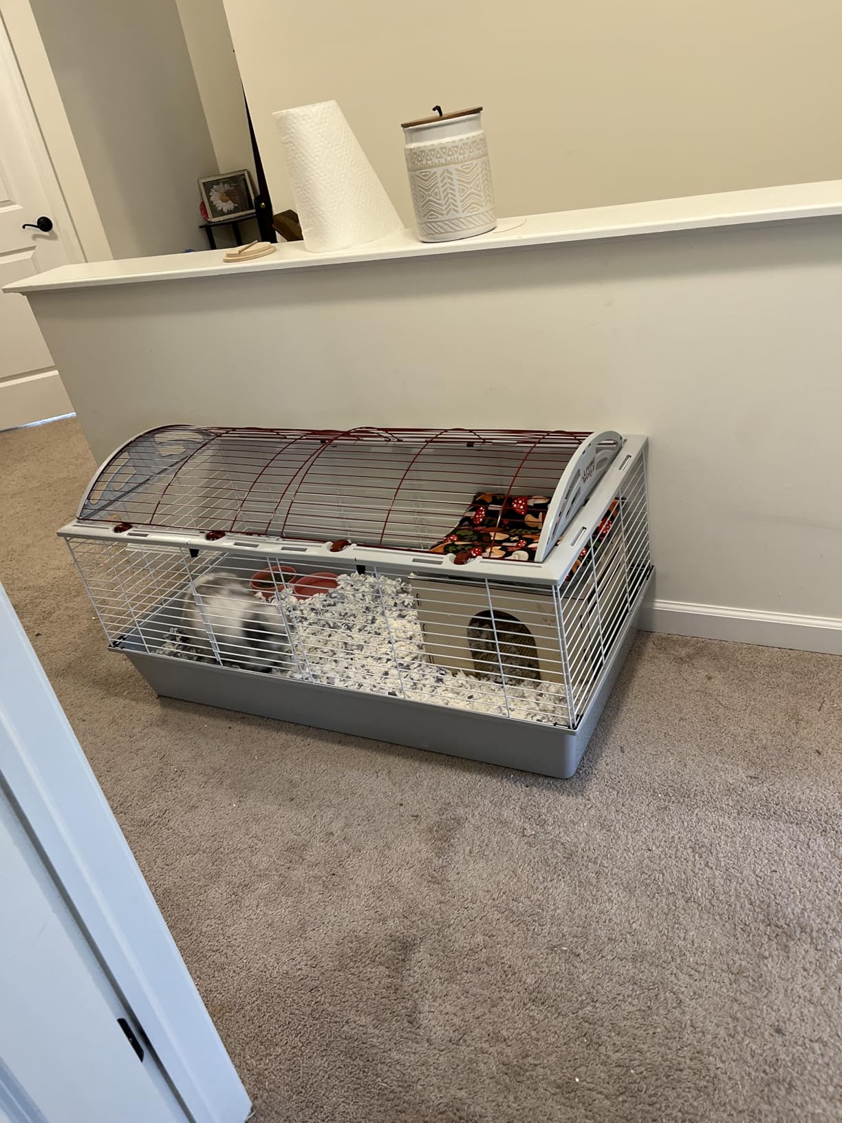 Living World - Deluxe Hybrid Habitat, X-Large - Rabbit, Guinea Pig, Chinchillas, and Small Animal Cage customer photo 1