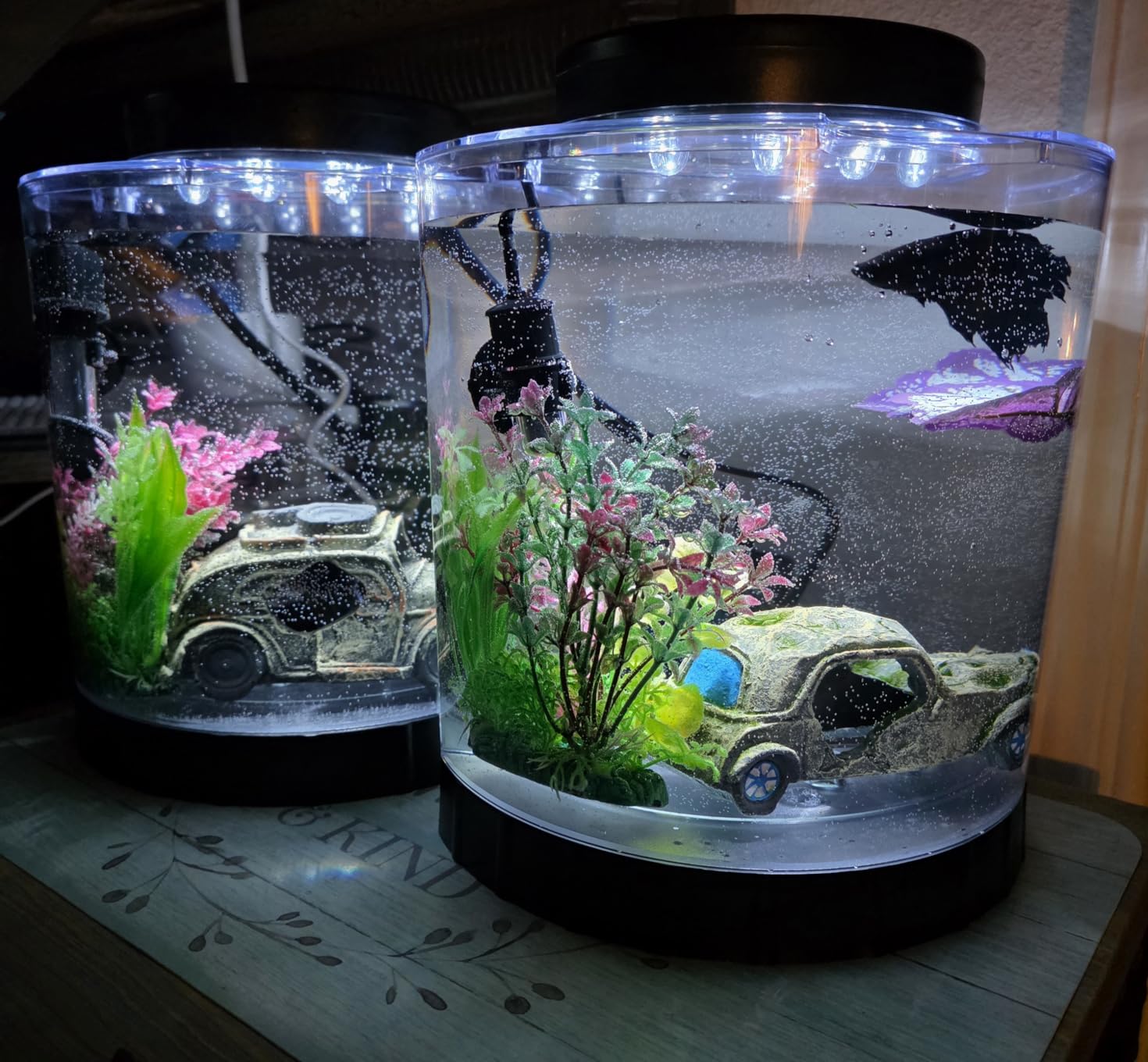 Tetra LED Half Moon Aquarium Kit, 1.1 Gallons, Small, Clear Plastic Fish Tank With Curved Front, Easy Feeding And Movable, Energy-Efficient LEDs Ideal For Bettas Great As Desk Aquarium customer photo 1