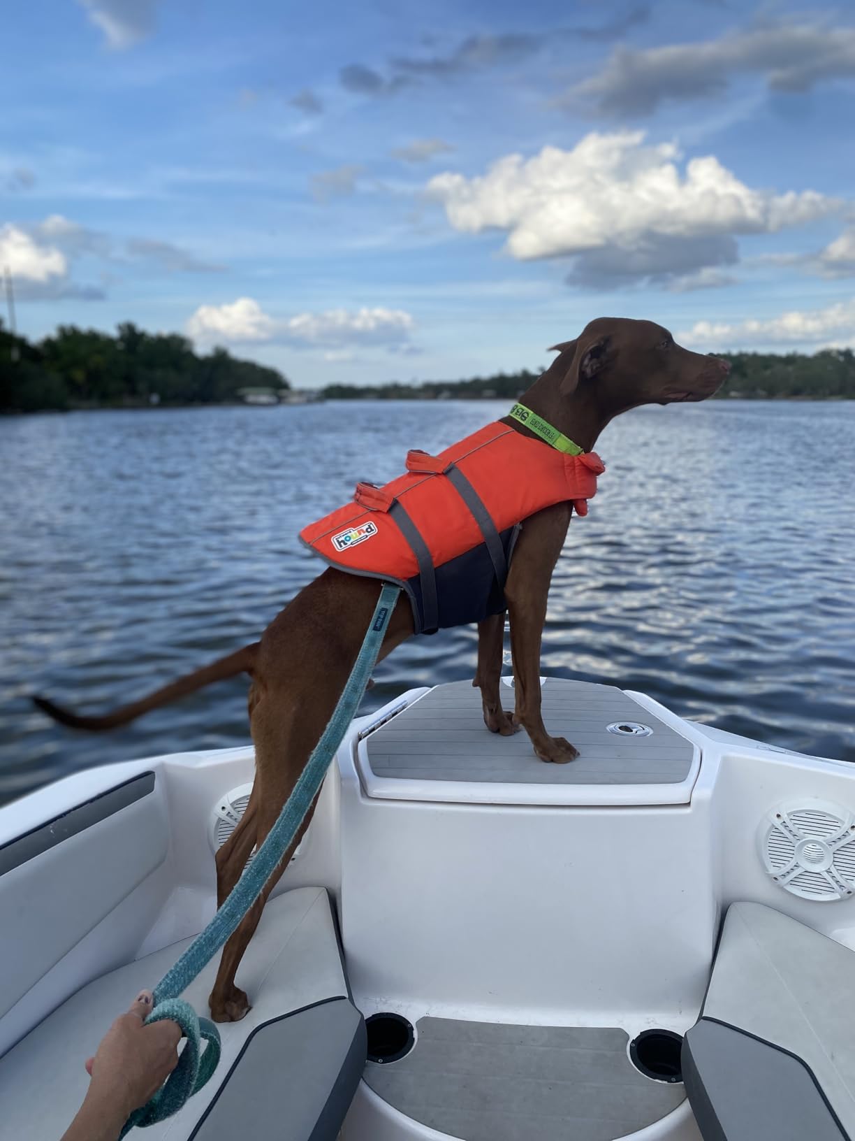 Outward Hound Granby Splash Orange Dog Life Jacket, Small customer photo 1