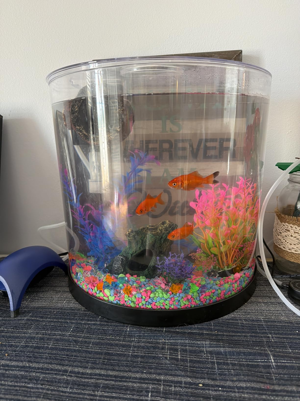 Tetra 3 Gallon Fish Tank, Aquarium Starter Kit with Pedestal Base, LED Light and Filter, For small tropical fish, guppies, goldfish, or betta customer photo 2