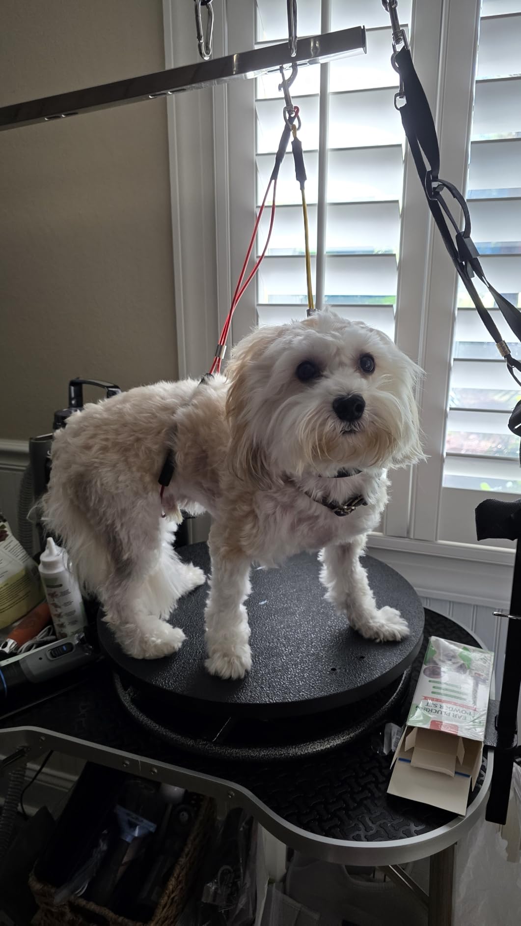 Pet Edge Master Equipment Round Pet Grooming Table - Rotatable Black 18