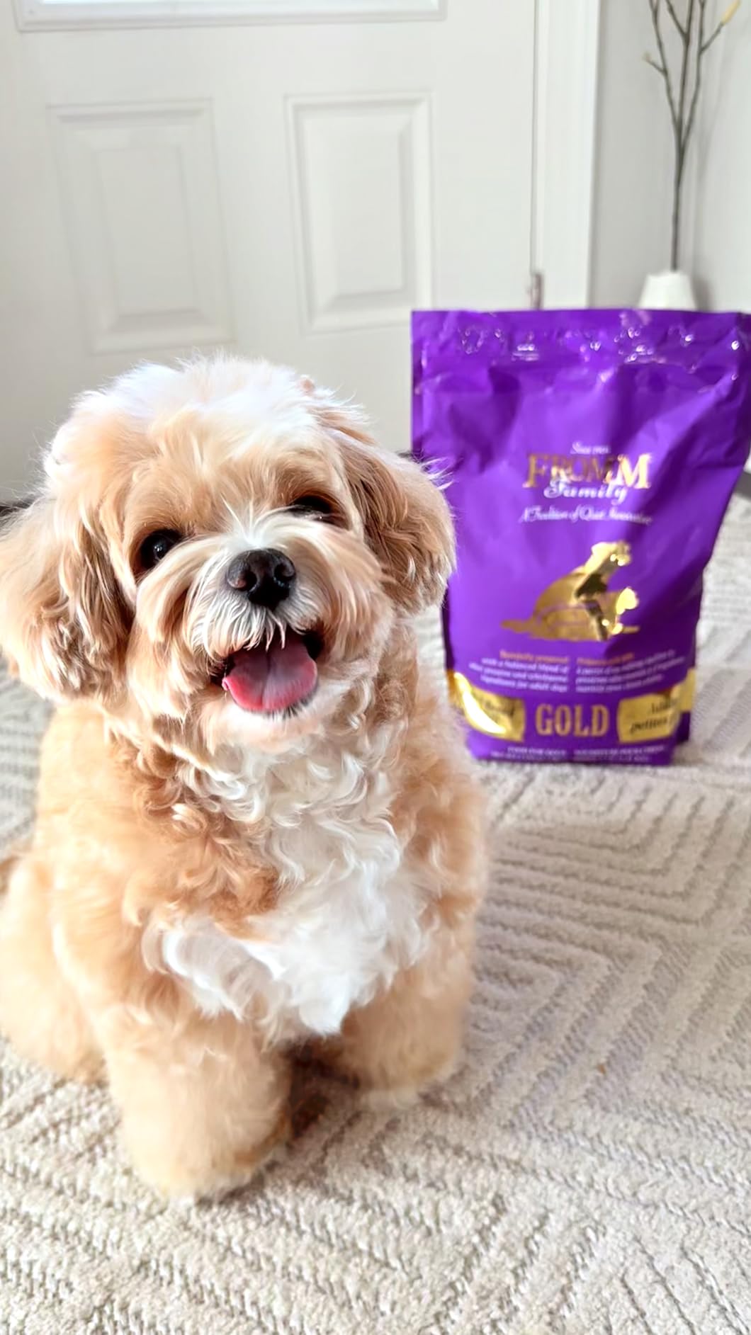 Fromm Small Breed Adult Gold Premium Dry Dog Food - Dry Adult Dog Food for Small Breeds - Chicken Recipe - 5 lb customer photo 2