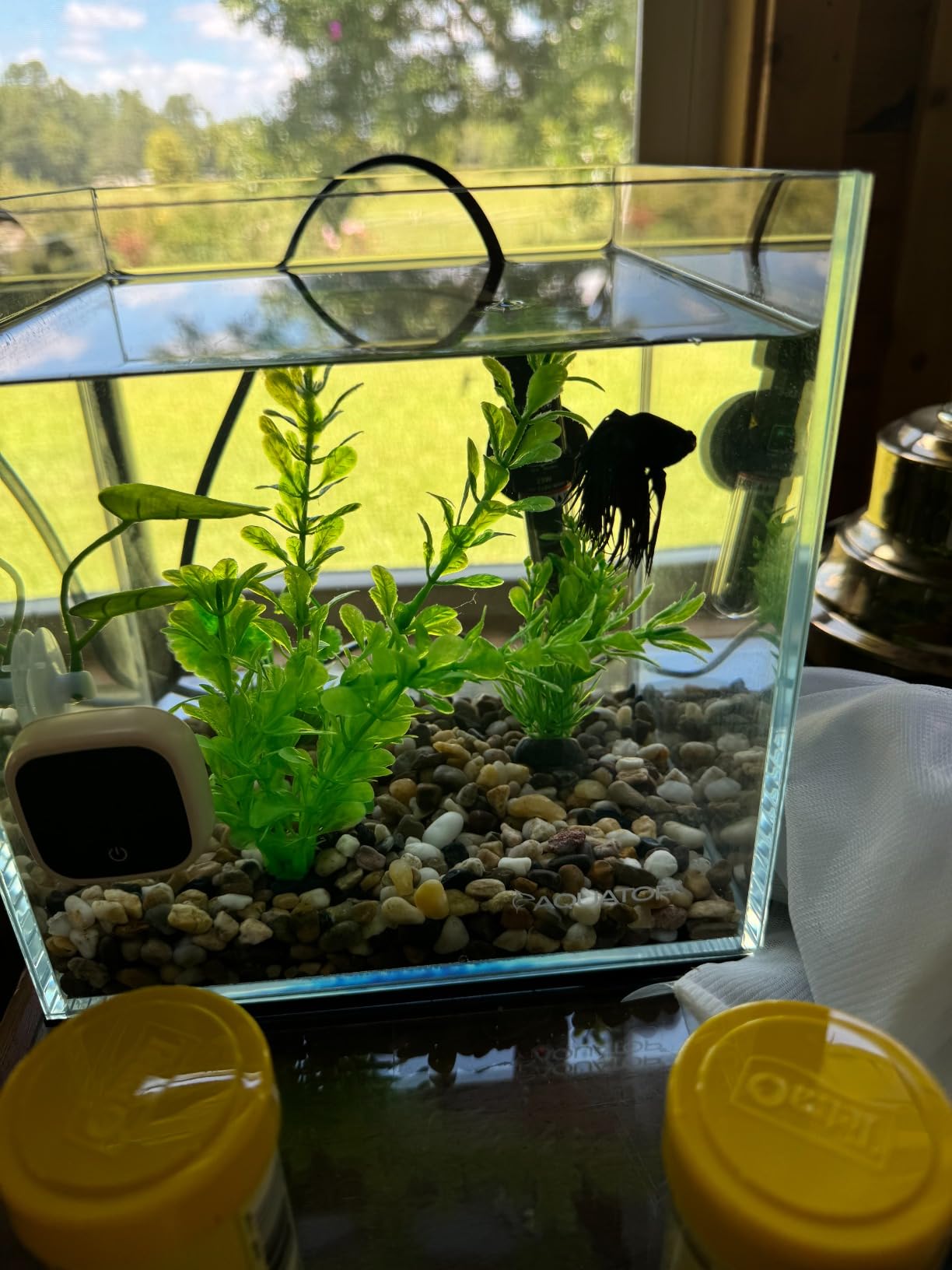 Aquatop High Clarity Low Iron Glass Cube Aquarium - Up to 11.3 Gallons - High-Grade German Silicone - Ideal for Salt and Freshwater Aquariums customer photo 2
