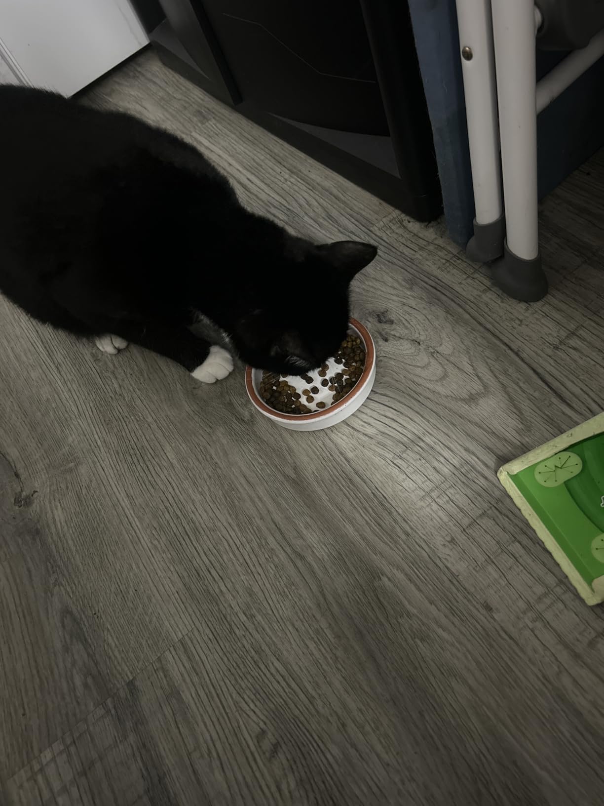 Nutrish Premium Natural Dry Cat Food, Real Chicken & Brown Rice Recipe, 14 Pounds (Packaging May Vary), (Rachael Ray Nutrish) customer photo 1