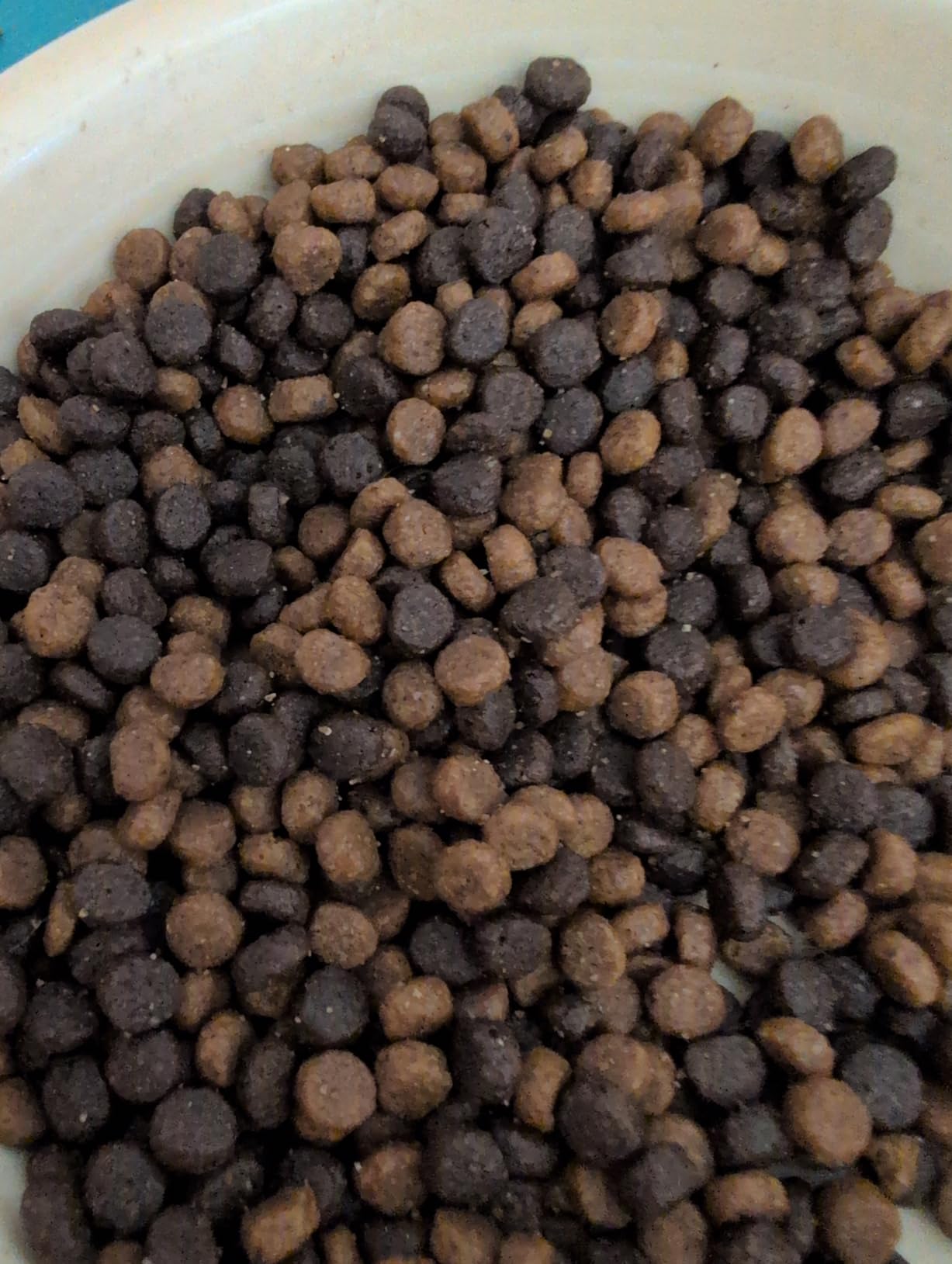 Nutrish Premium Natural Dry Cat Food, Real Chicken & Brown Rice Recipe, 14 Pounds (Packaging May Vary), (Rachael Ray Nutrish) customer photo 2