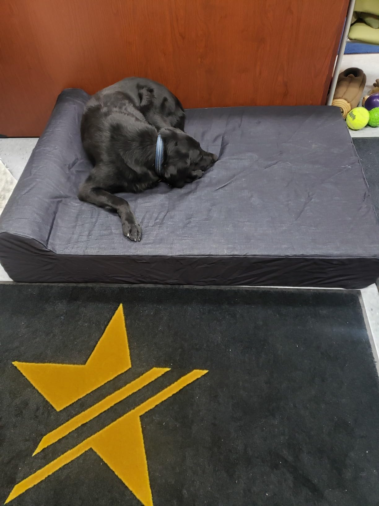 Large Luxury 7 inch Gel Memory Foam Orthopedic Dog Bed with Bolster | 100% USA Made with Certi-Pur Foams | Engineered for Large Breed Dogs to Provide Support & Comfort customer photo 2
