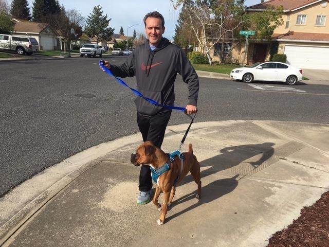 Leash Boss Original - Heavy Duty Dog Leash for Large Dogs - No Pull Double Handle Training Lead for Walking Big Dogs - Dog Leashes with Padded Handle for Control and Safety (Blue) customer photo 2