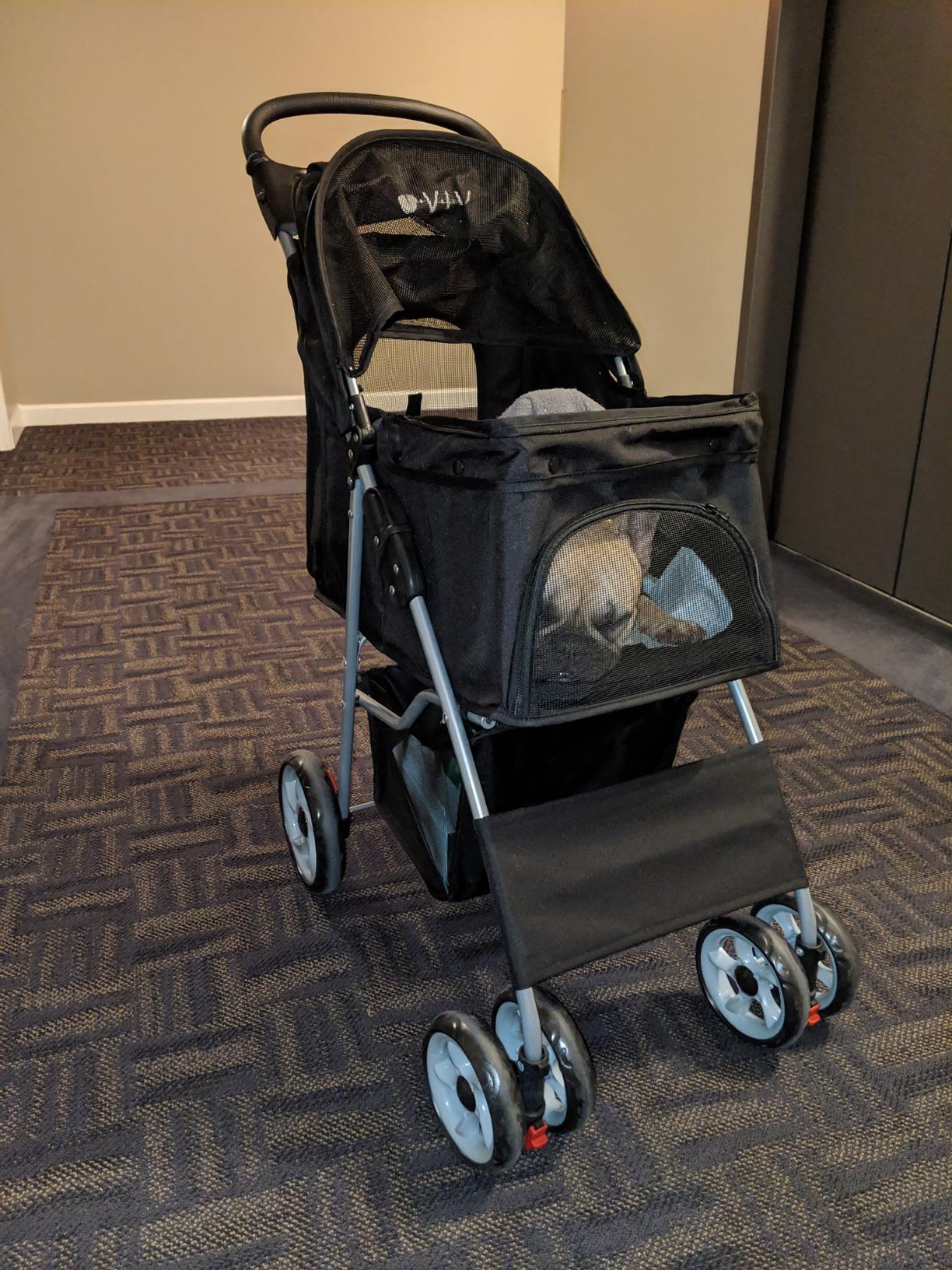 VIVO Black 4 Wheel Pet Stroller for Cat, Dog and More, Foldable Carrier Strolling Cart, STROLR-V001K customer photo 1