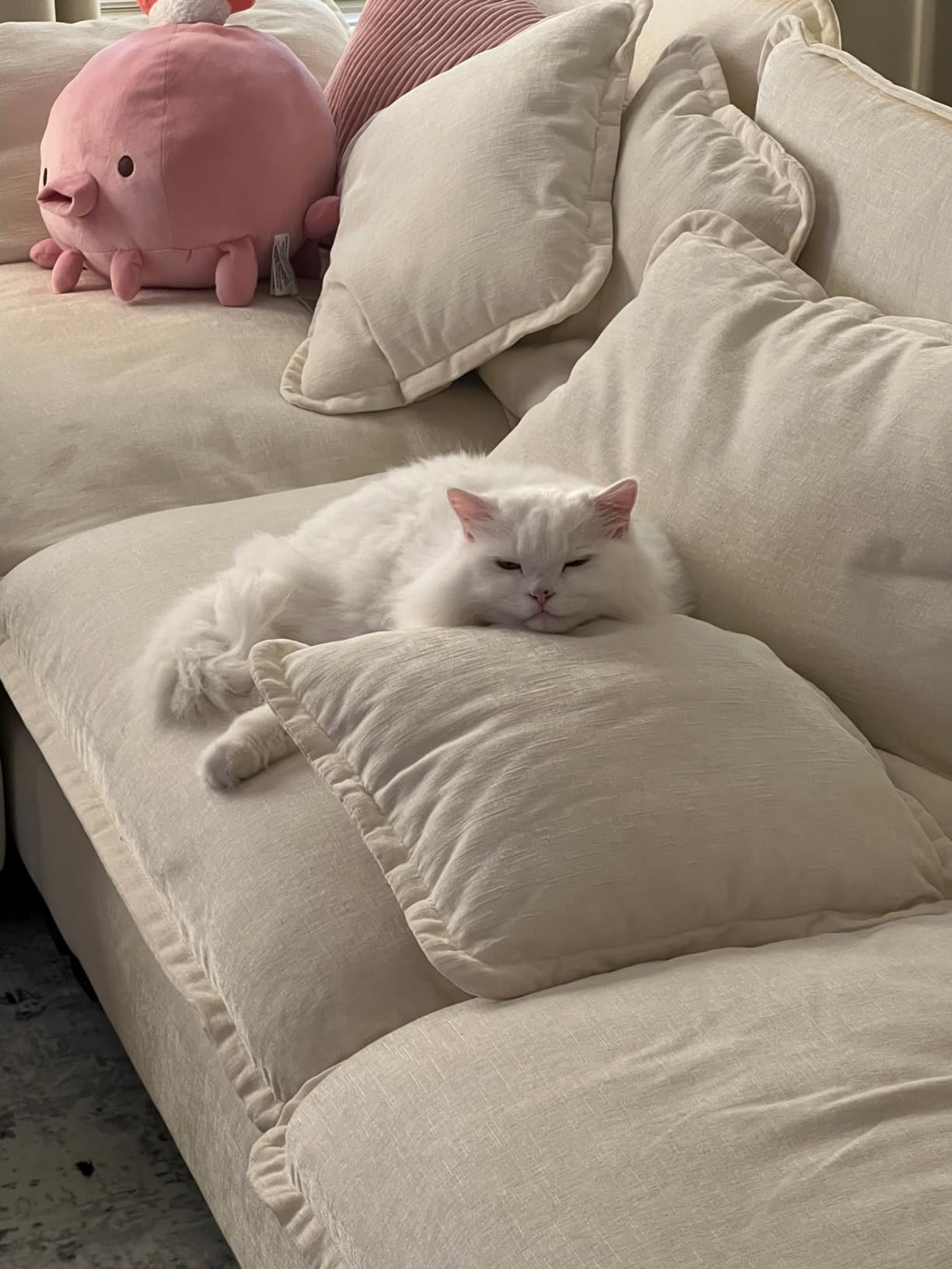 Blue Buffalo Wilderness Chicken Natural High-Protein Grain-Free Dry Food for Adult Indoor Cats, Real Chicken First, Antioxidant-Rich LifeSource Bits Support Immunity, Promotes Strong Muscles, 5 lbs. customer photo 2