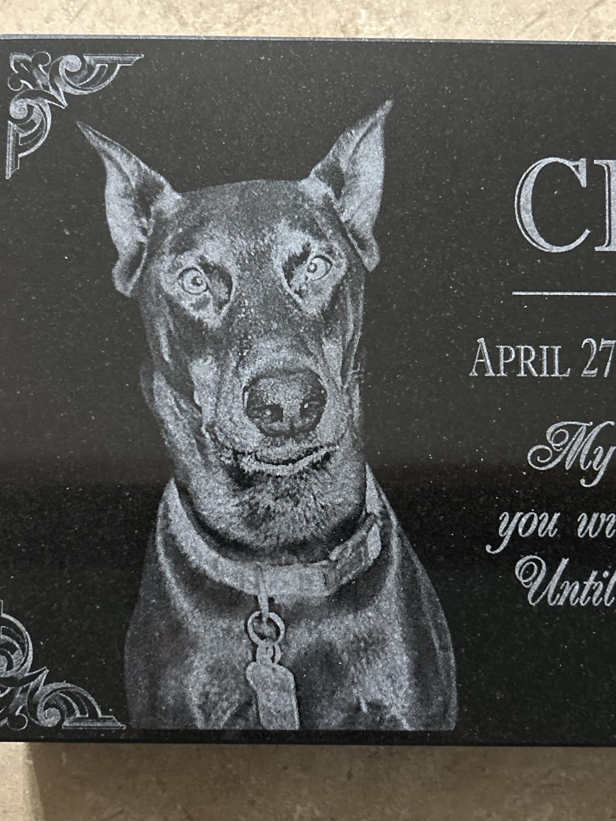 You Left Paw Prints on Our Hearts Pet Memorial Stones Personalized Headstone Grave Marker Absolute Black Granite Garden Plaque Engraved with Dog Cat Name Dates customer photo 1