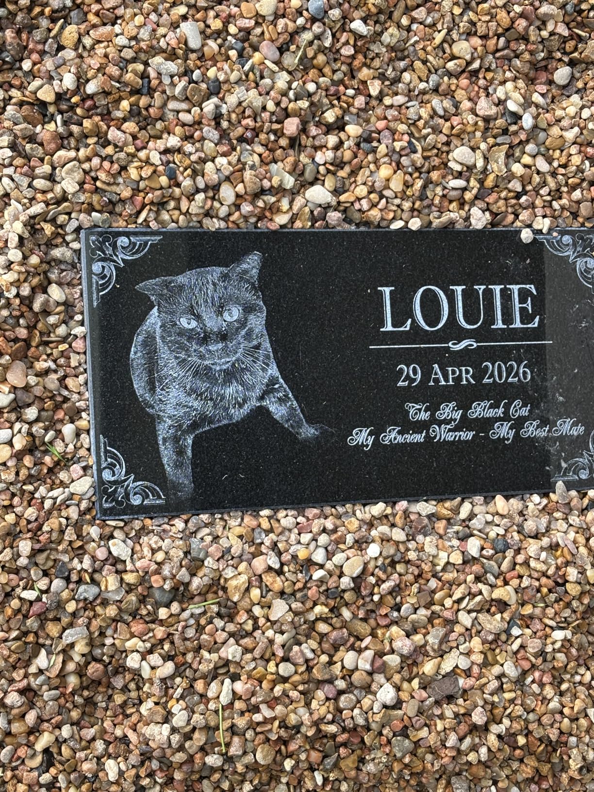 You Left Paw Prints on Our Hearts Pet Memorial Stones Personalized Headstone Grave Marker Absolute Black Granite Garden Plaque Engraved with Dog Cat Name Dates customer photo 2