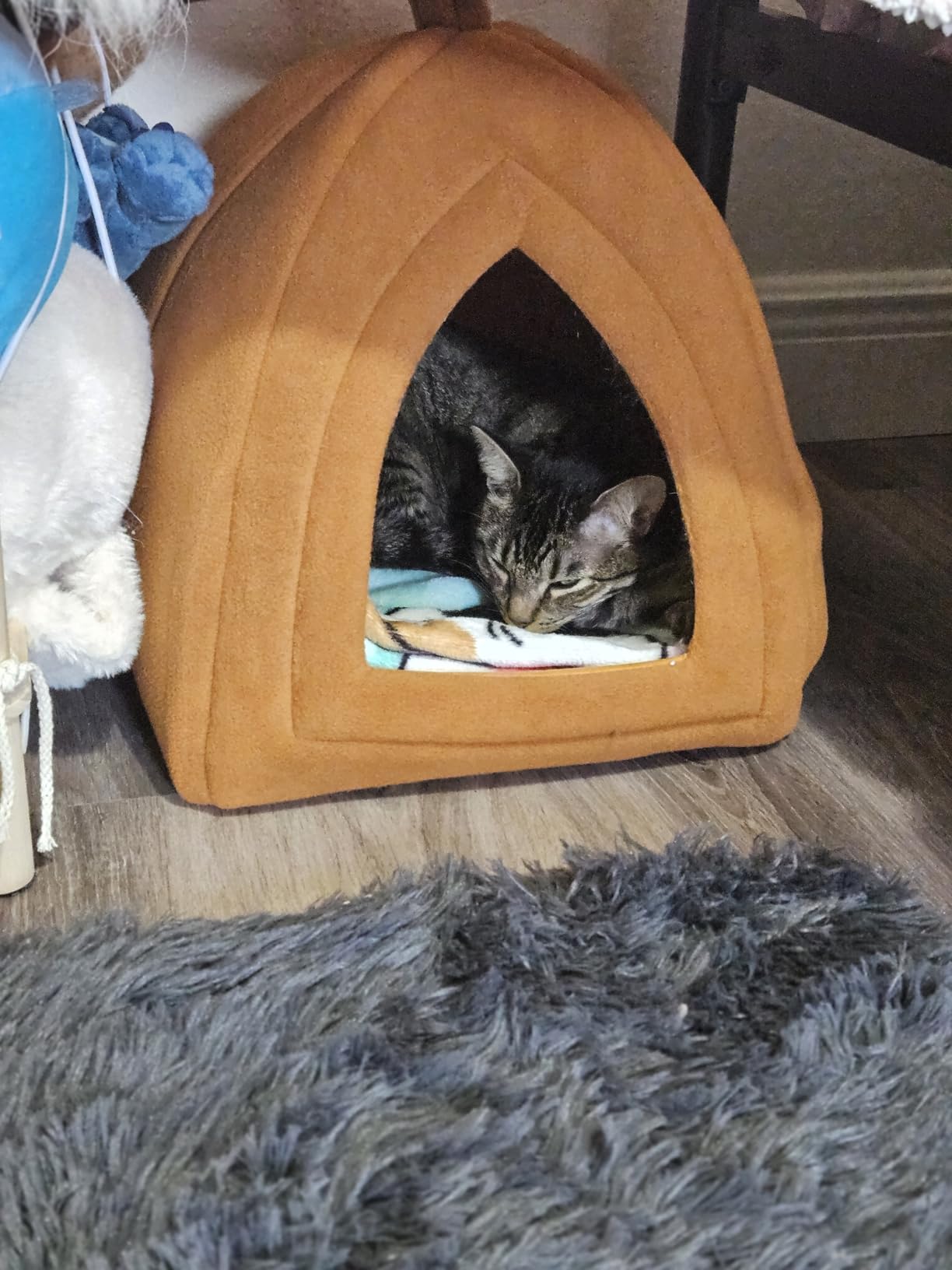Cat House Indoor Cat Bed with Removable Foam Cushion, Plush Cat Tent Bed for Small Pets, Comfortable Cozy Hideaway for Cats, Kittens, Rabbits, Guinea Pigs, Ferrets, Hedgehogs, by PETMAKER (Blue) customer photo 1