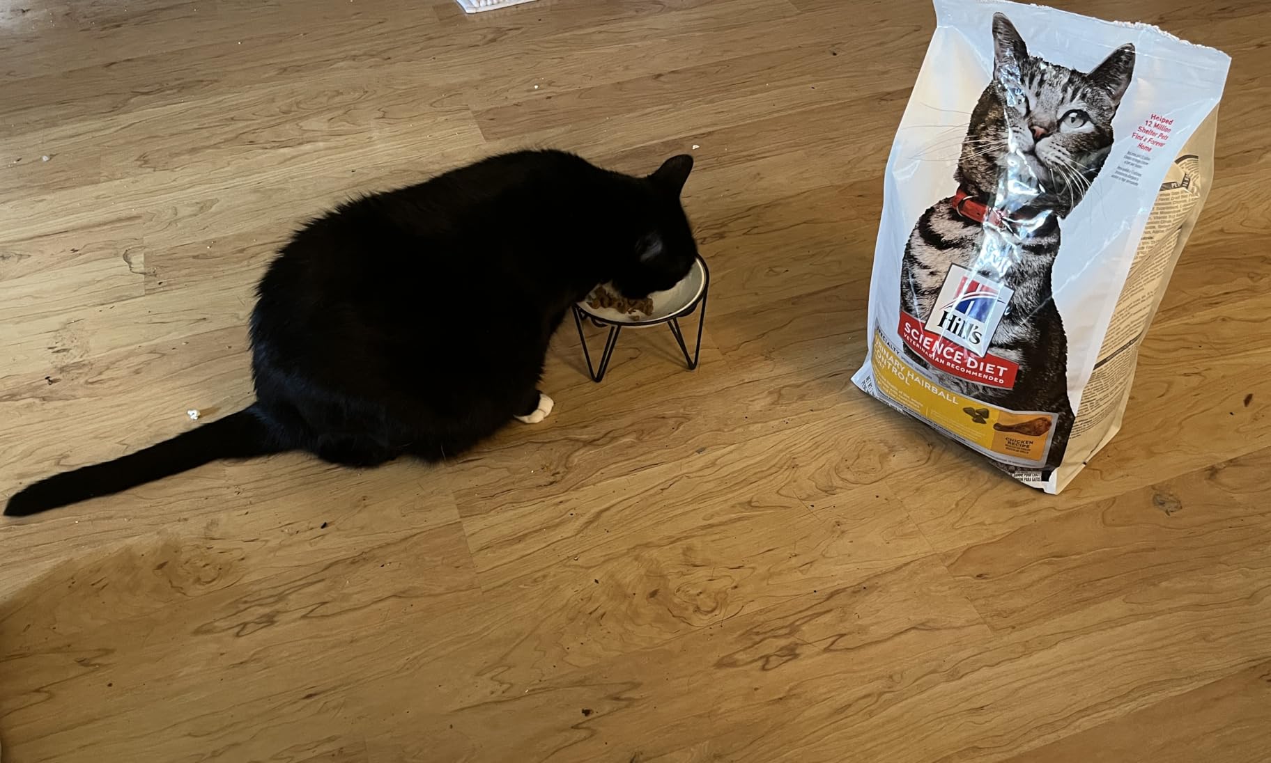 Hill's Science Diet Adult Urinary & Hairball Control Dry Cat Food, Chicken, 3.5 lb. Bag customer photo 2