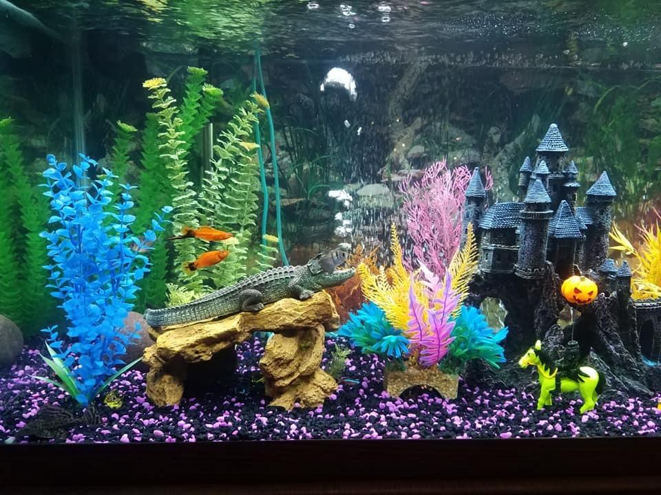 Marineland Magniflow 400 Canister Filter, For Up to 100-Gallon Freshwater or Saltwater Aquariums customer photo 2