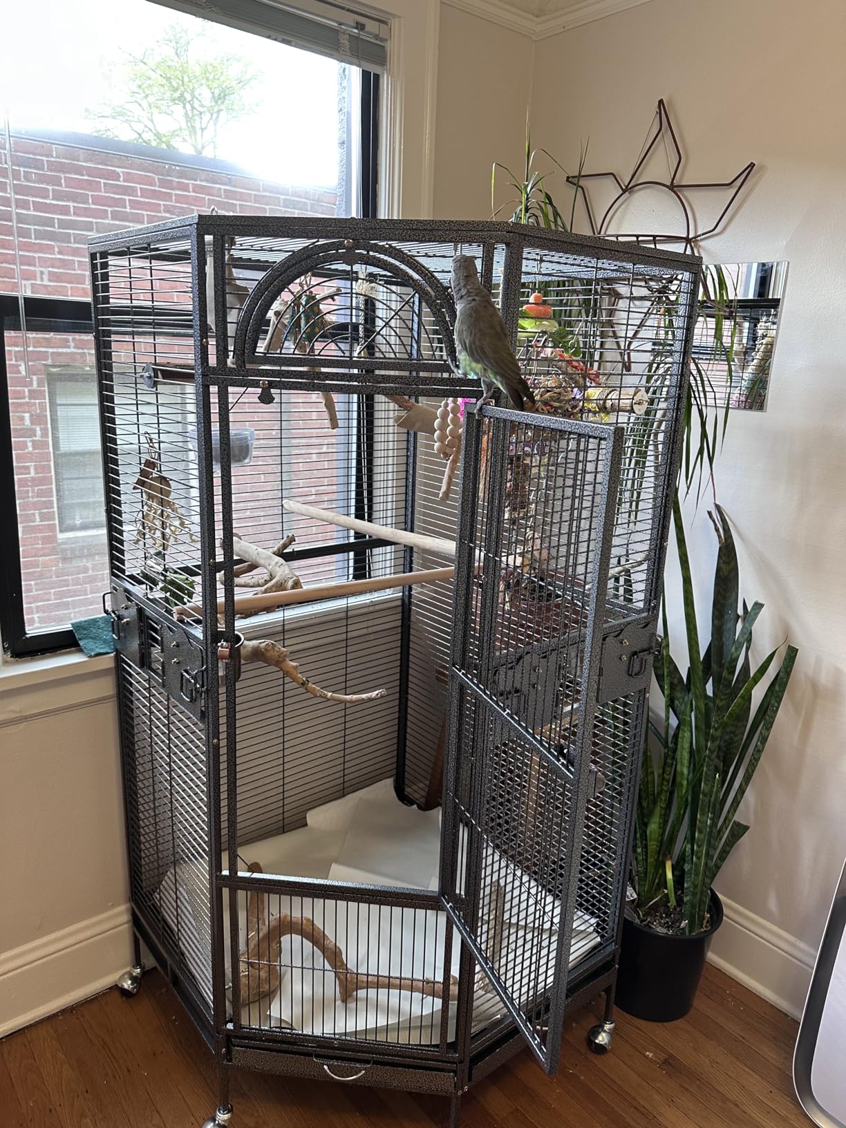 Parrot Escape Jumbo Corner Bird Cage Aviary (X-Large) customer photo 2