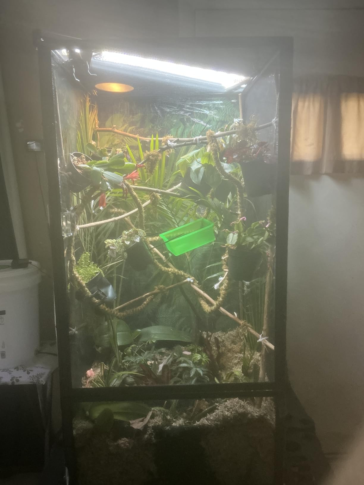Zoo Med ReptiBreeze LED Deluxe Open Air Aluminum Screen Habitat, X-Large 24 L x 24 W x 48 H customer photo 1