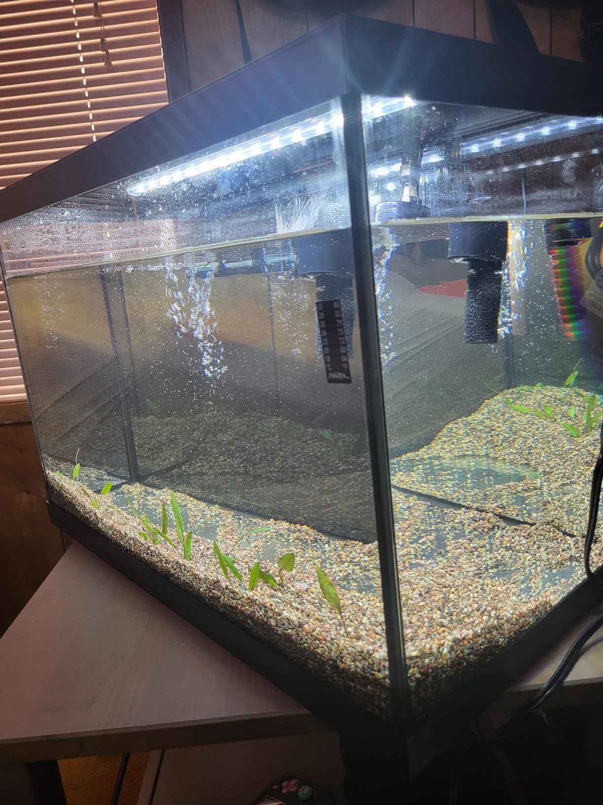 Marina 5 Gallon (19 L) LED Aquarium Kit - Ideal for Beginner Aquarists and New Fish-Keepers customer photo 1