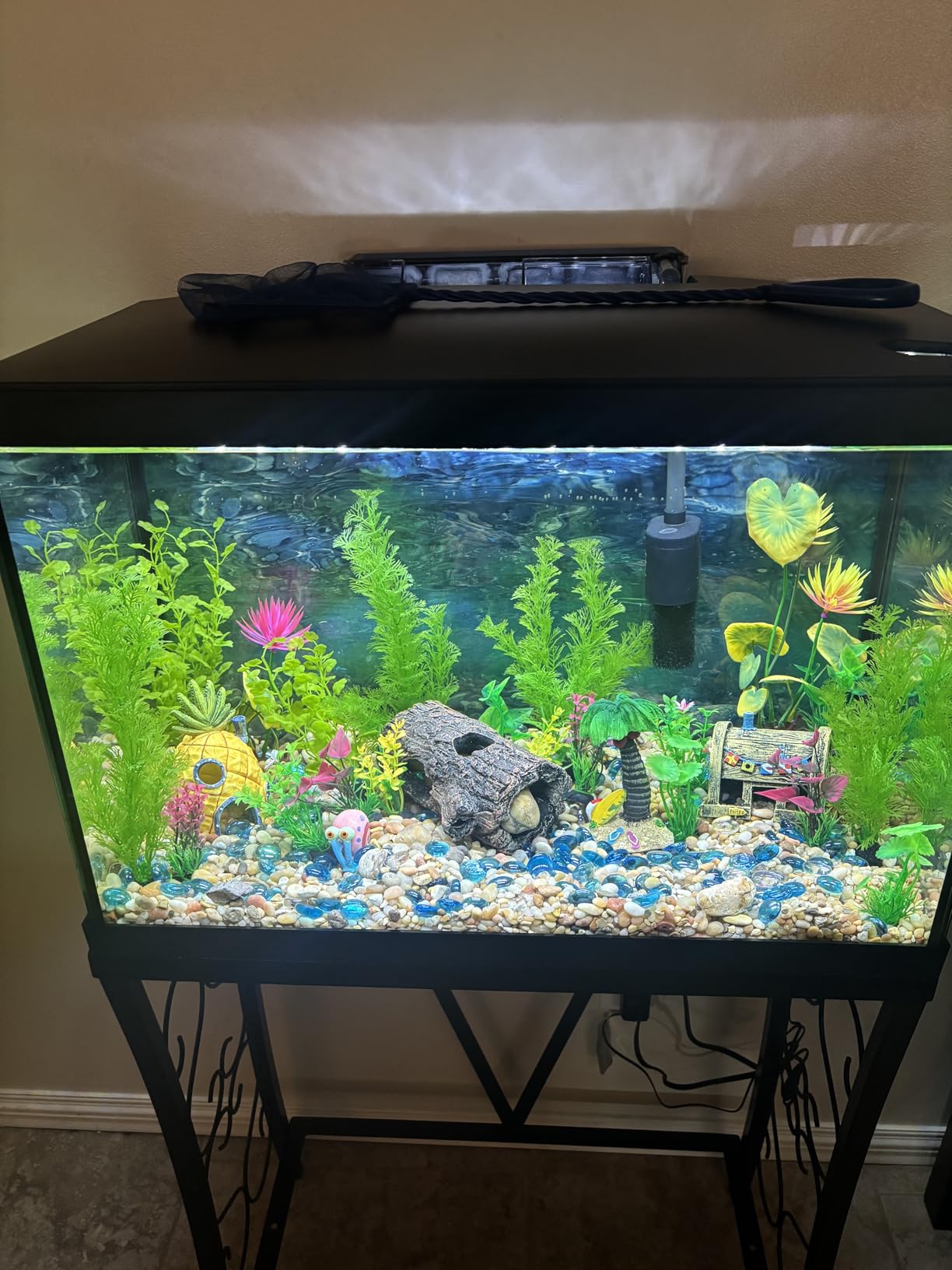 Marina 5 Gallon (19 L) LED Aquarium Kit - Ideal for Beginner Aquarists and New Fish-Keepers customer photo 2