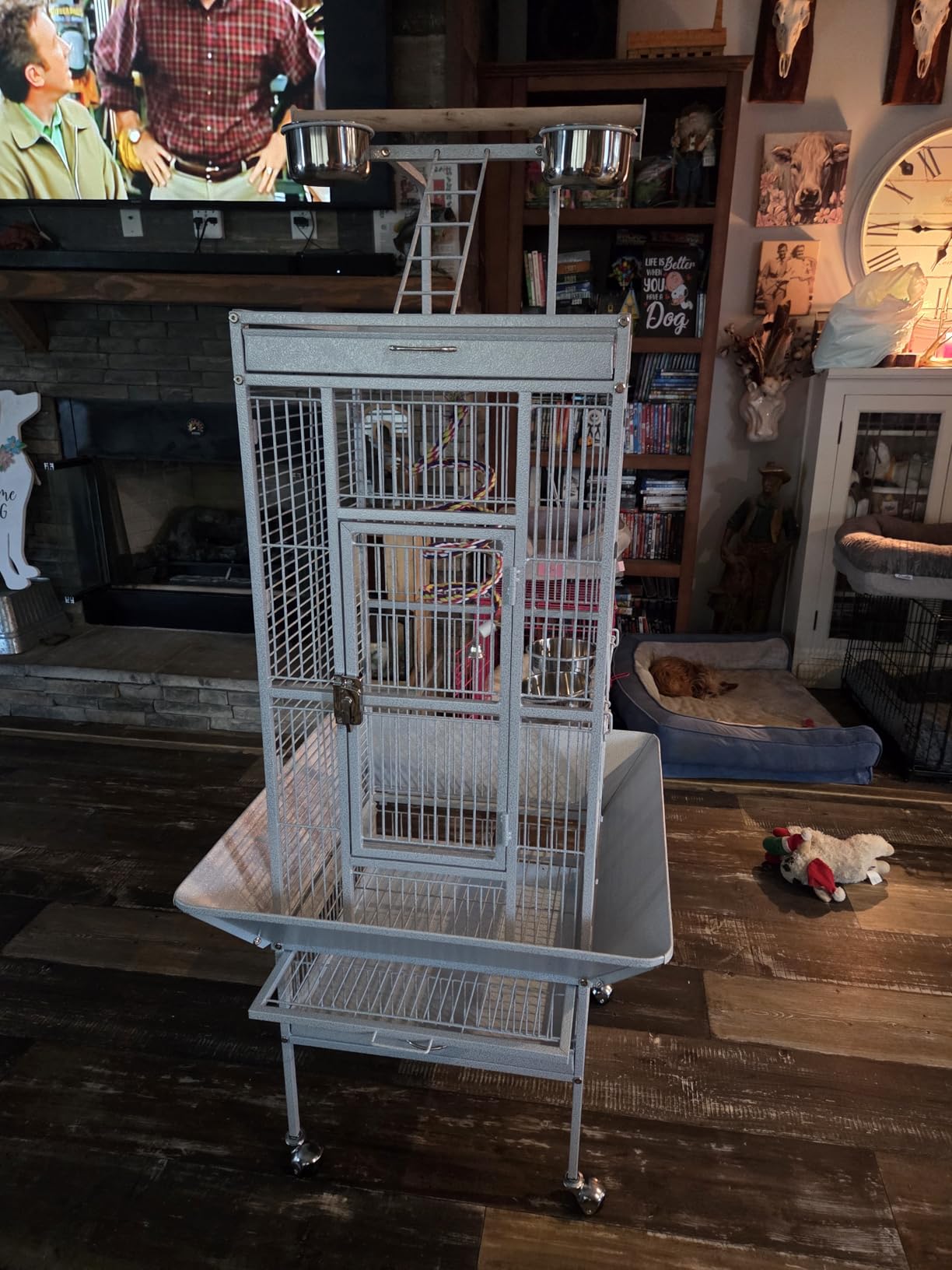 Yaheetech 61-inch Playtop Wrought Iron Large Parrot Bird Cages with Rolling Stand for Cockatiels Amazon Parrot Quaker Conure Parakeet Lovebird Finch Canary Small Medium Parrot Cage Birdcage, Black customer photo 2