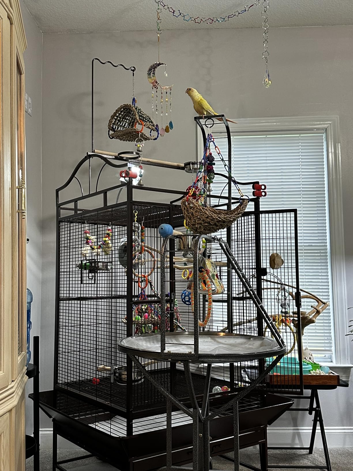 Elegant and Strong Durable Wrought Iron Parrot Bird Play Gym Ground Rolling Stand with Metal Climbing Play Ladder Easy Clean Removable Metal Pan Toy Hook Included customer photo 2