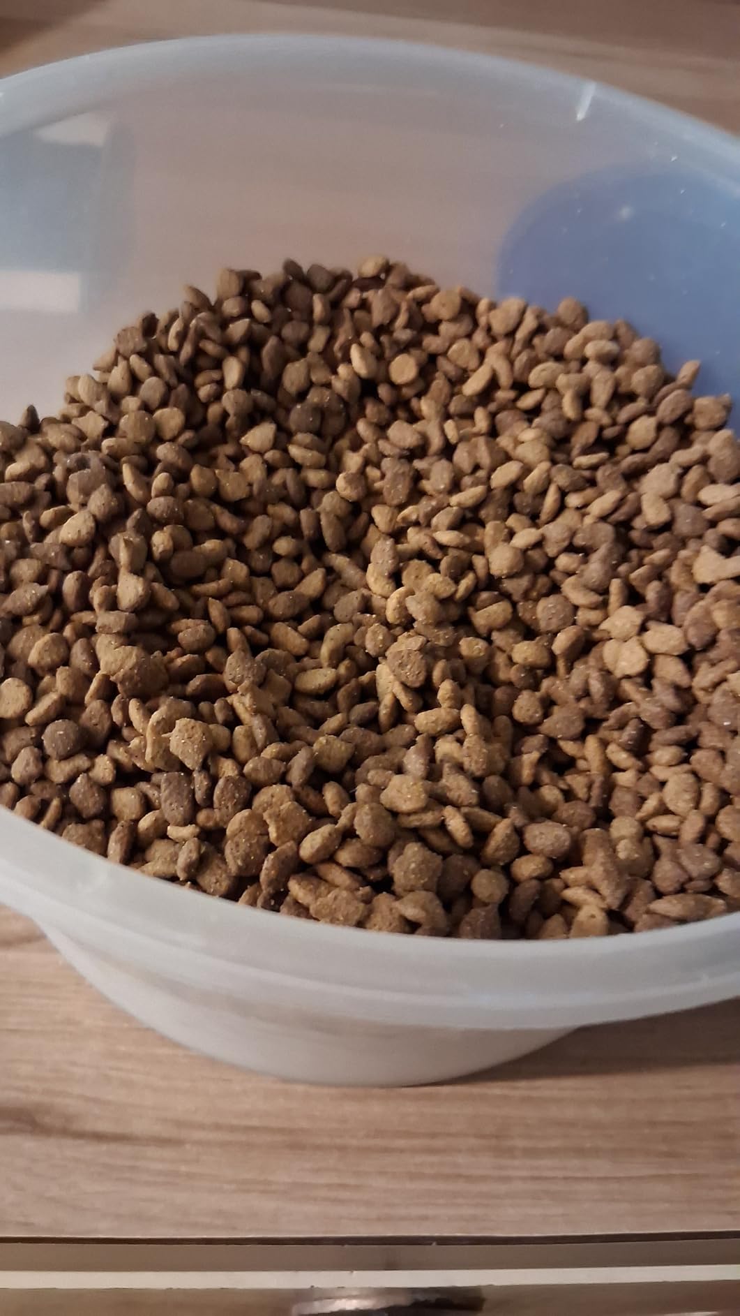 IAMS Proactive Health Dry Cat Food, Indoor Weight and Hairball Care Cat Food Dry Recipe, with Real Chicken in Every Bite, 16 lb. Bag customer photo 2