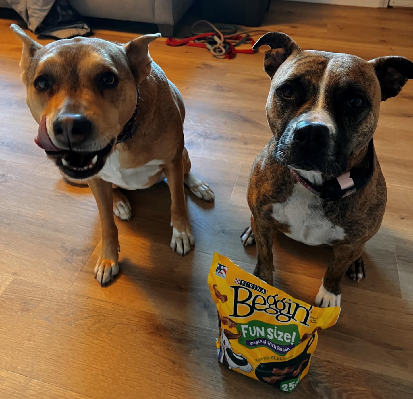 Purina Beggin' With Real Meat Dog Treats, Fun Size Original With Bacon Flavor, 25 oz. Pouch customer photo 2