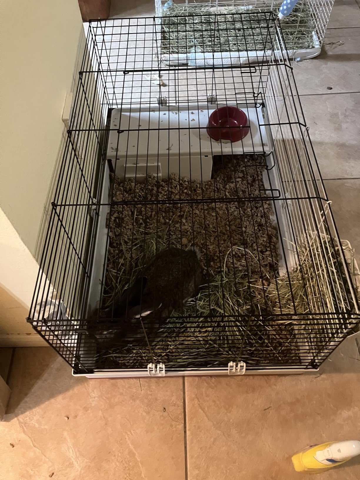 MidWest Homes for Pets 158 Wabbitat Deluxe Rabbit Home, Rabbit Cage, 39.5 L x 23.75 W x 19.75 H Inch customer photo 1
