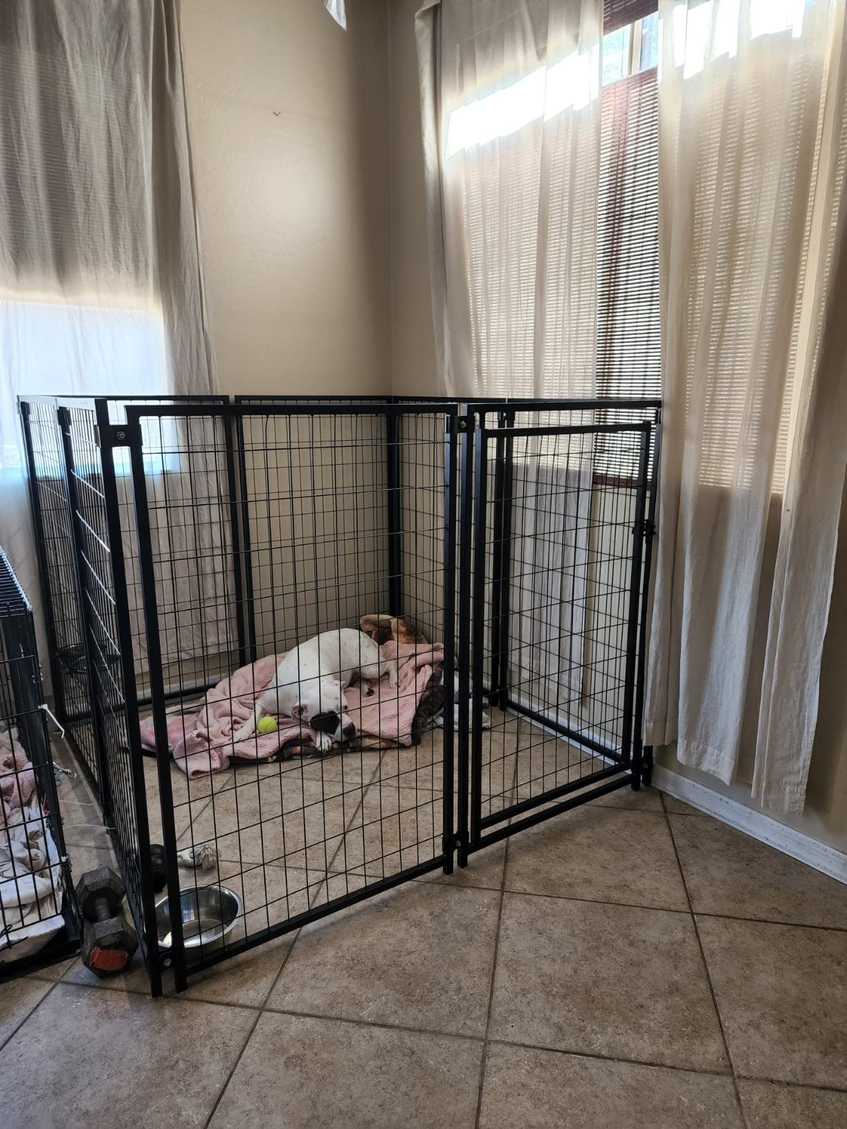Luna Expandable Outdoor Dog Kennel 10x10x4 ft | Large Heavy-Duty Galvanized Steel Pet Pen with Gate | Powder-Coated Frame | Rust-Resistant Panels | Secure Latch customer photo 2