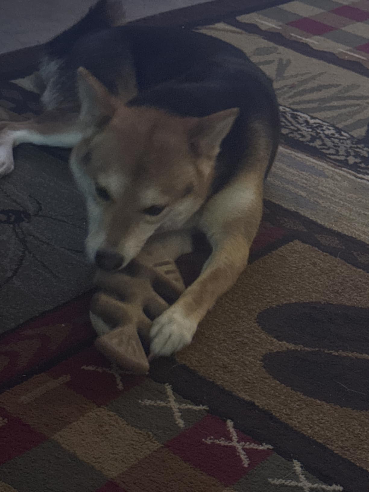 Benebone Dental Durable Dog Chew Toy for Aggressive Chewers, Real Bacon, Made in USA, Small customer photo 1