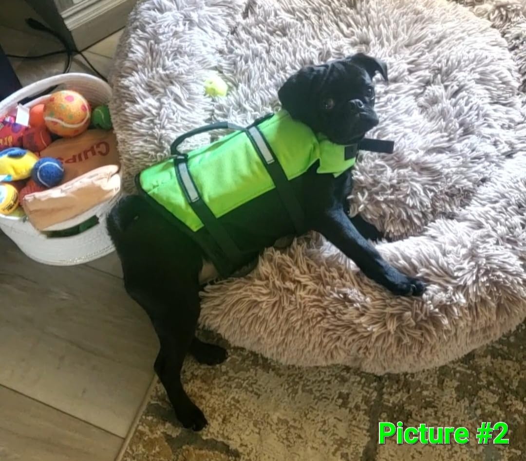 VIVAGLORY Rip Stop Dog Life Vest, Swimming Vest with Handle, Buoyancy for Doggy Puppy, Dog Life Jacket for Swimming & Boating, S, Blue customer photo 2