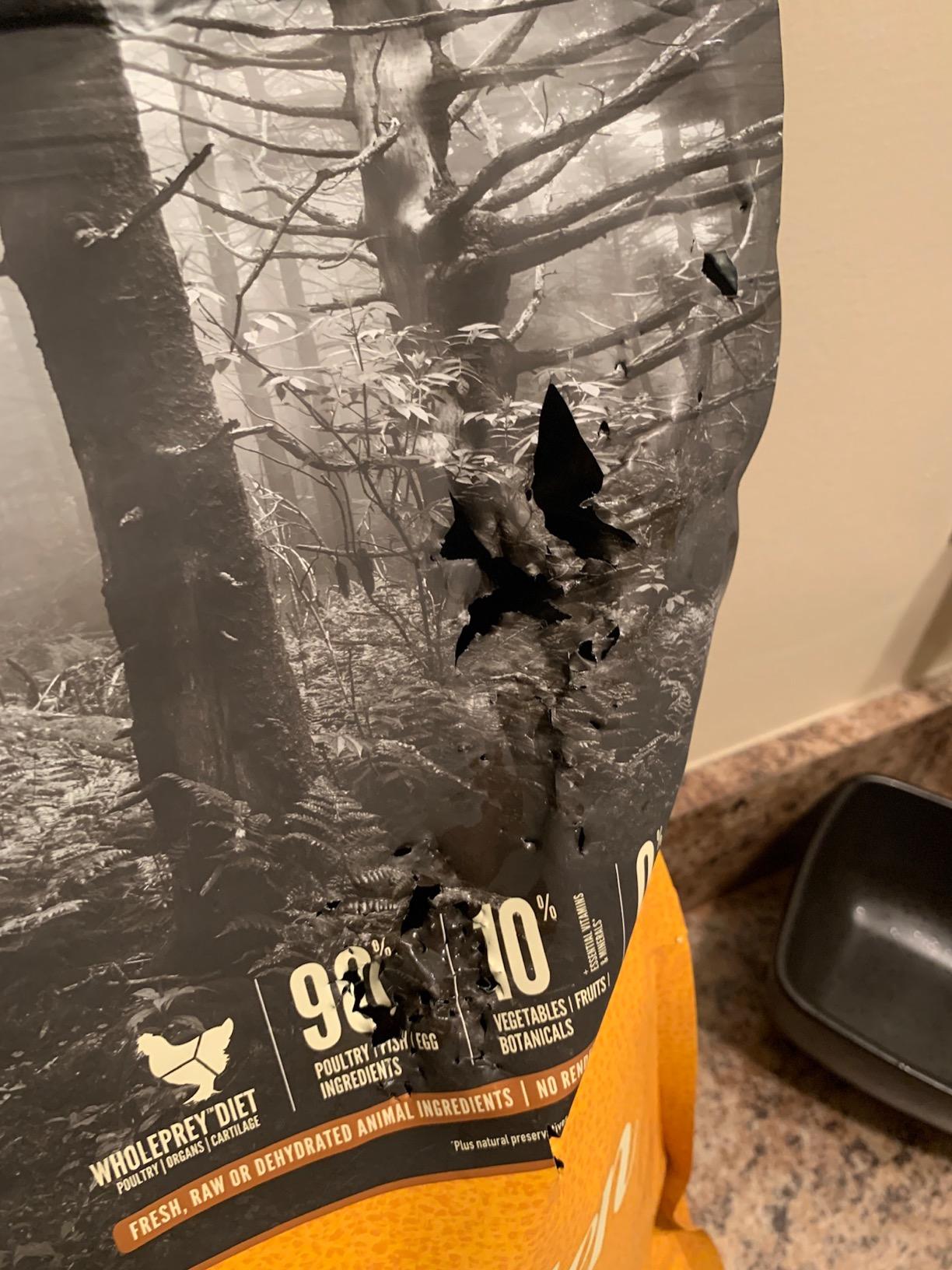 ORIJEN Grain Free High Protein Premium Dry Cat Food Original Recipe 12lb Bag customer photo 1