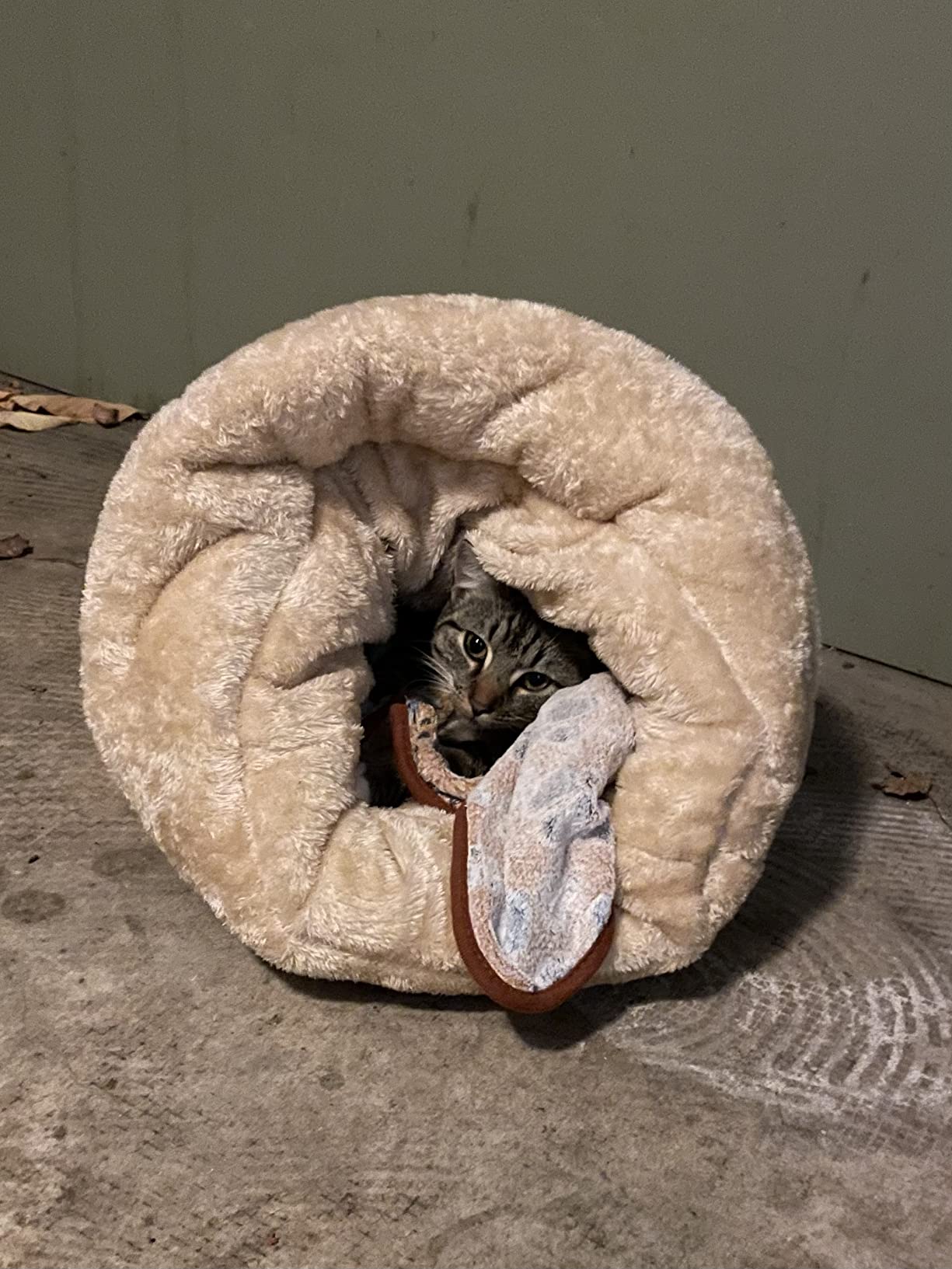 Pet Magasin Self Warming Cat Cave Bed with 4-Way Cat Hideaways customer photo 1