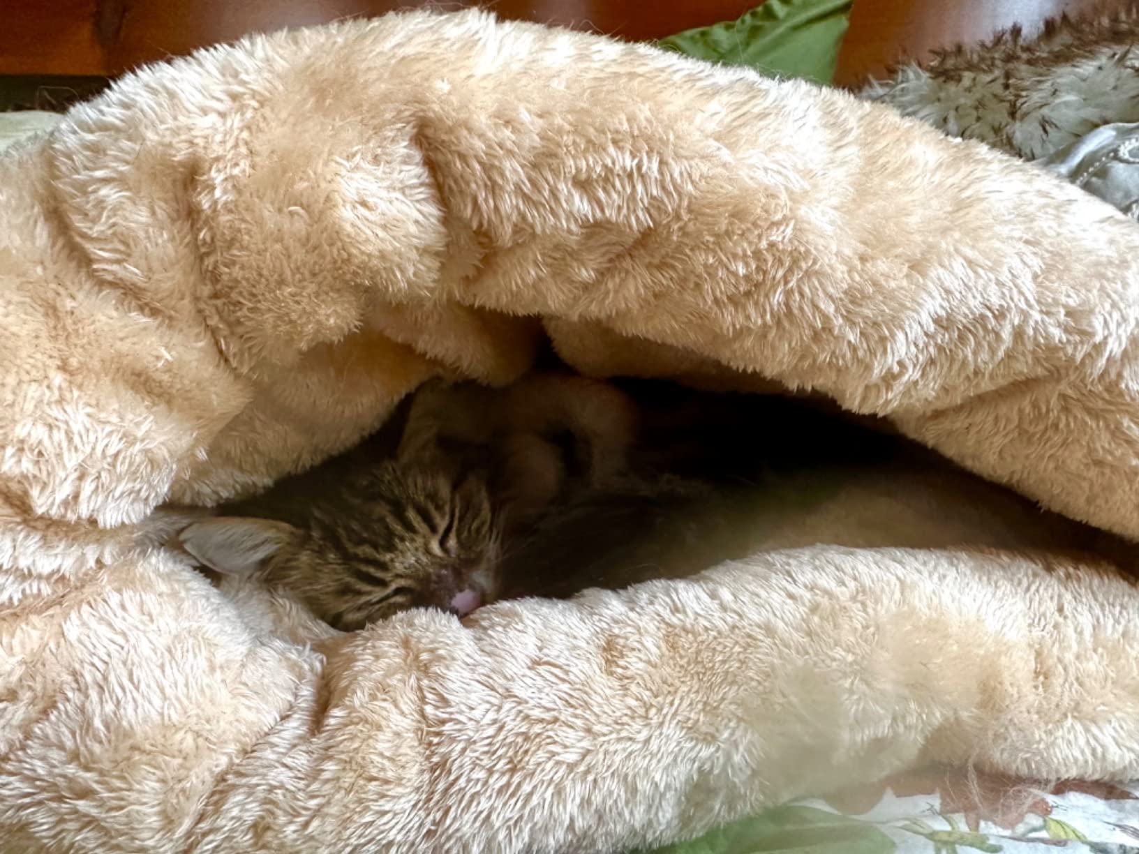 Pet Magasin Self Warming Cat Cave Bed with 4-Way Cat Hideaways customer photo 2