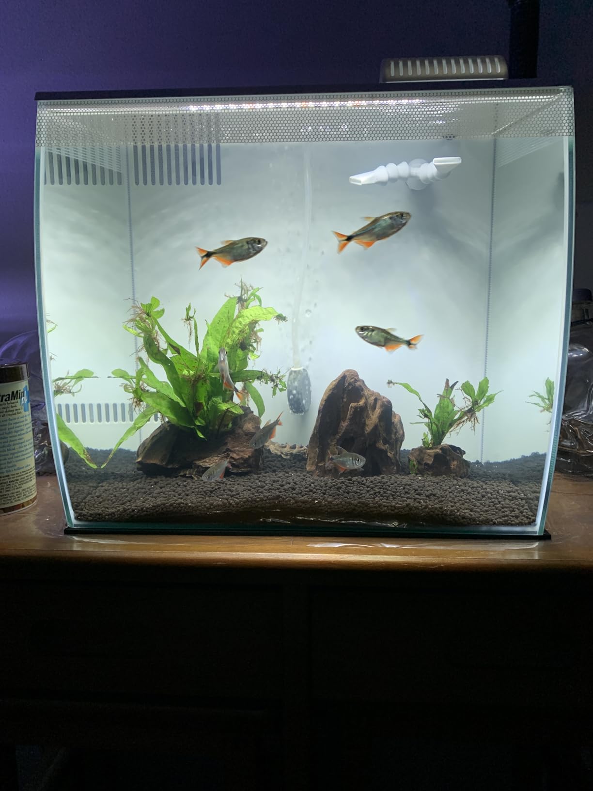 Fluval Flex 9 Gallon Glass Aquarium Kit, Black customer photo 1