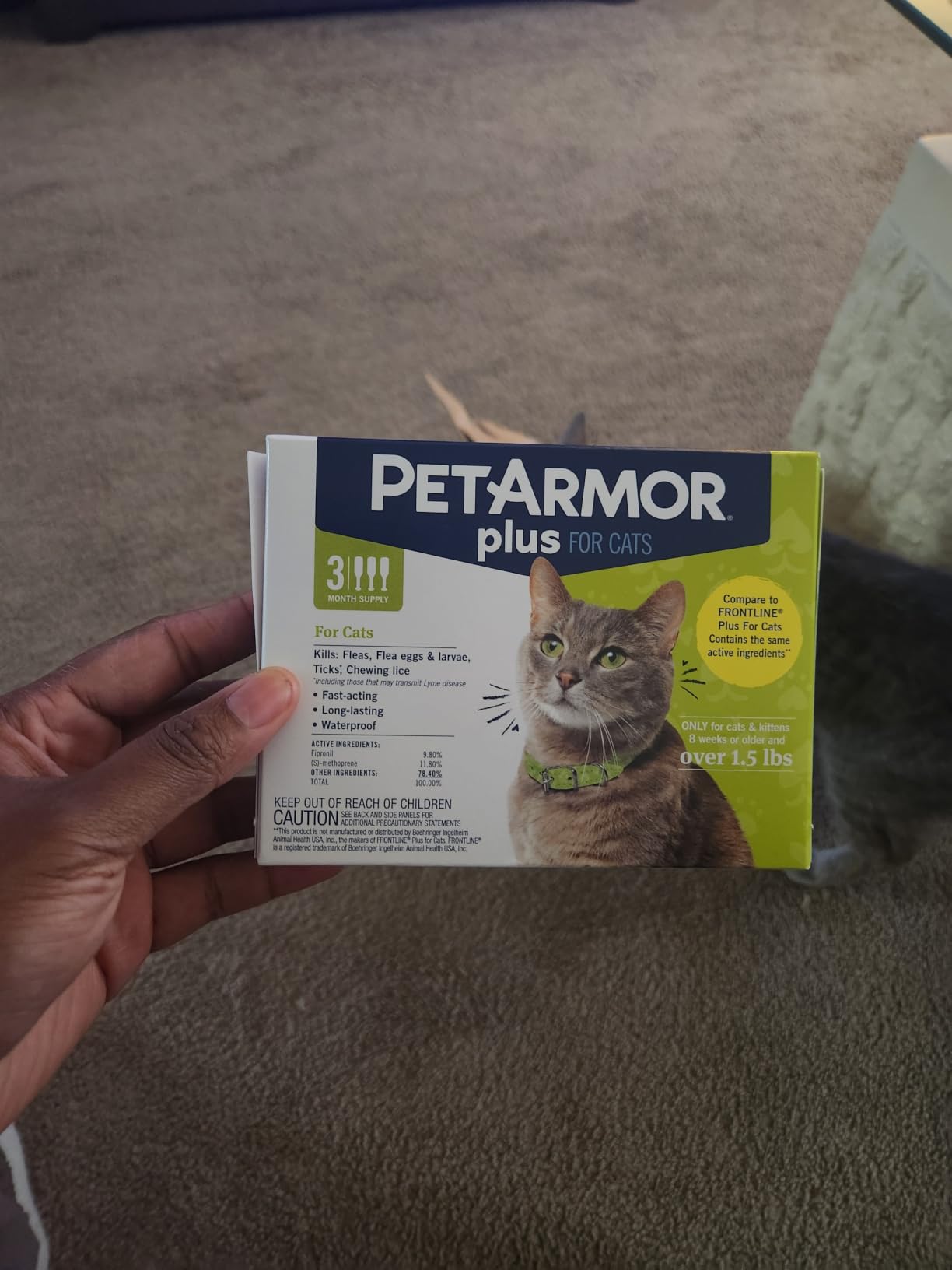 PetArmor Plus Flea and Tick Prevention for Dogs, Large Dog Flea and Tick Treatment, 6 Doses, Waterproof Topical, Fast Acting (45-88 lbs) customer photo 1