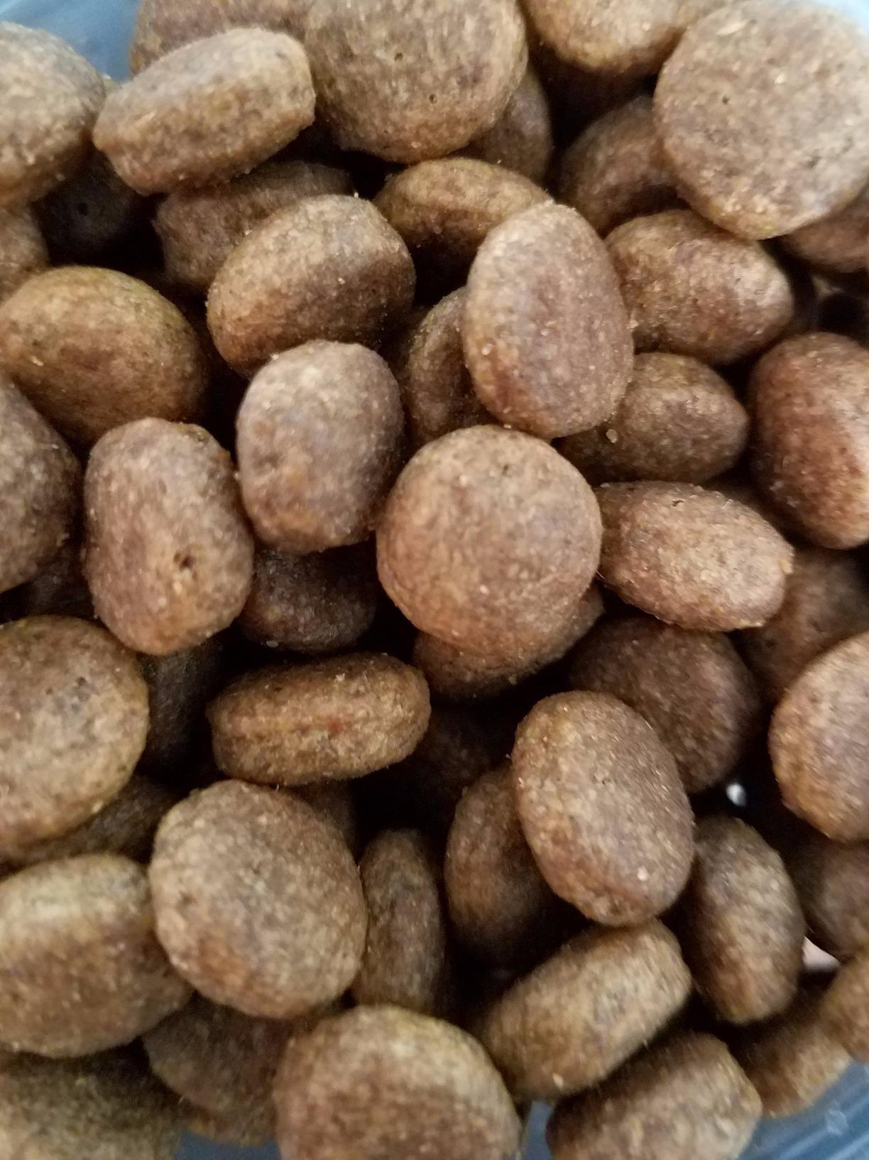 Nutro Limited Ingredient Diet Dry Dog Food, Lamb & Sweet Potato, 4 lb | Grain-free, Lamb #1 ingredient, 10 ingredients or less, supports skin & coat customer photo 2