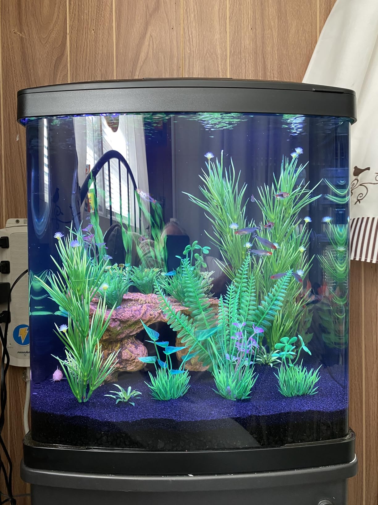 Coralife BioCube, Aquarium Kit, Integrated 24-hour Timer, Customizable LED Lighting, for Saltwater and Freshwater Environments, 32 Gallon customer photo 2