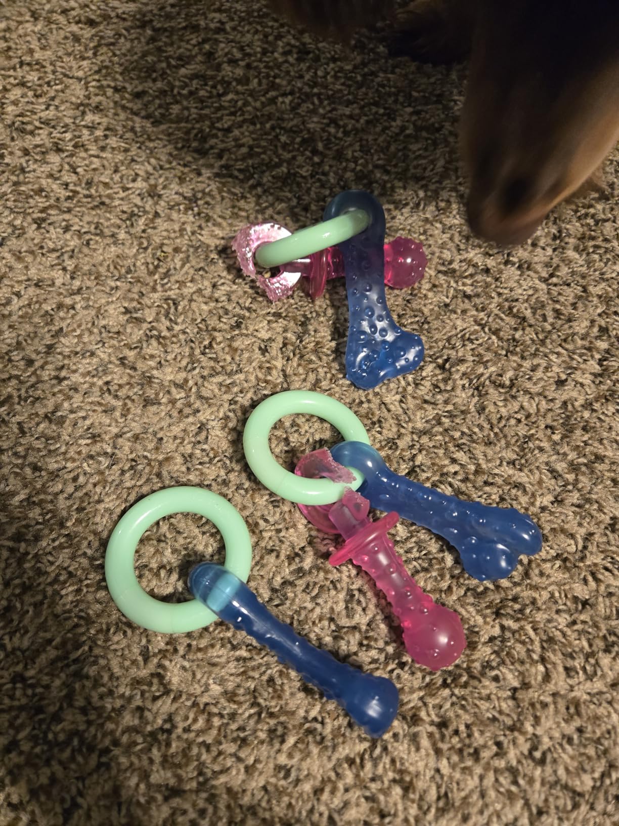 Nylabone New Puppy Starter Kit, 5 Chew Toys and 1 Natural Treat for Puppies, Multi Color, Bacon & Chicken Flavor, Small Dogs - Up to 25 lbs., 6 Pack customer photo 1