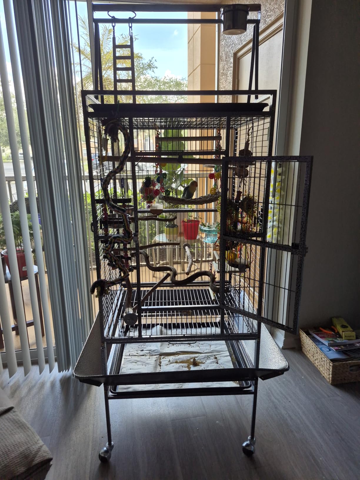 Nova Microdermabrasion 68-Inch Height Wrought Iron Standing Large Play Top Bird Cage for African Grey Small Quaker Parrot Cockatiel Sun Parakeet Green Cheek Conure Dove Budgie Lovebird customer photo 1