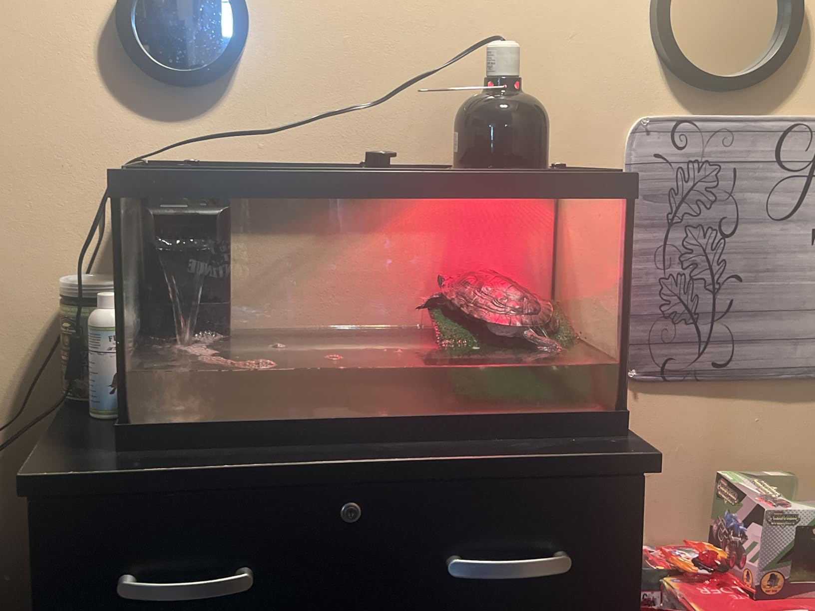 Tetra Aquatic Turtle Deluxe Kit 20 Gallons, Aquarium With Filter And Heating Lamps, 30 IN (NV33230) customer photo 1