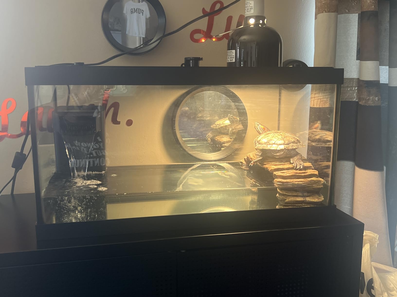 Tetra Aquatic Turtle Deluxe Kit 20 Gallons, Aquarium With Filter And Heating Lamps, 30 IN (NV33230) customer photo 2