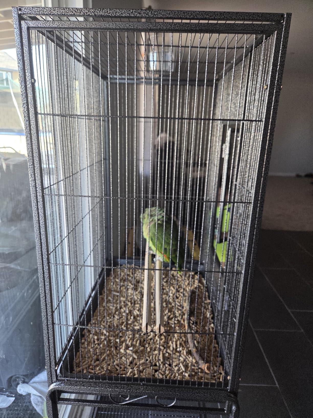 ZENY 53-Inch Bird Flight Cage, Wrought Iron Standing Large with Rolling Stand for Cockatiels Pet Parrot Parakeet Lovebird Canary Finch (Black) customer photo 1