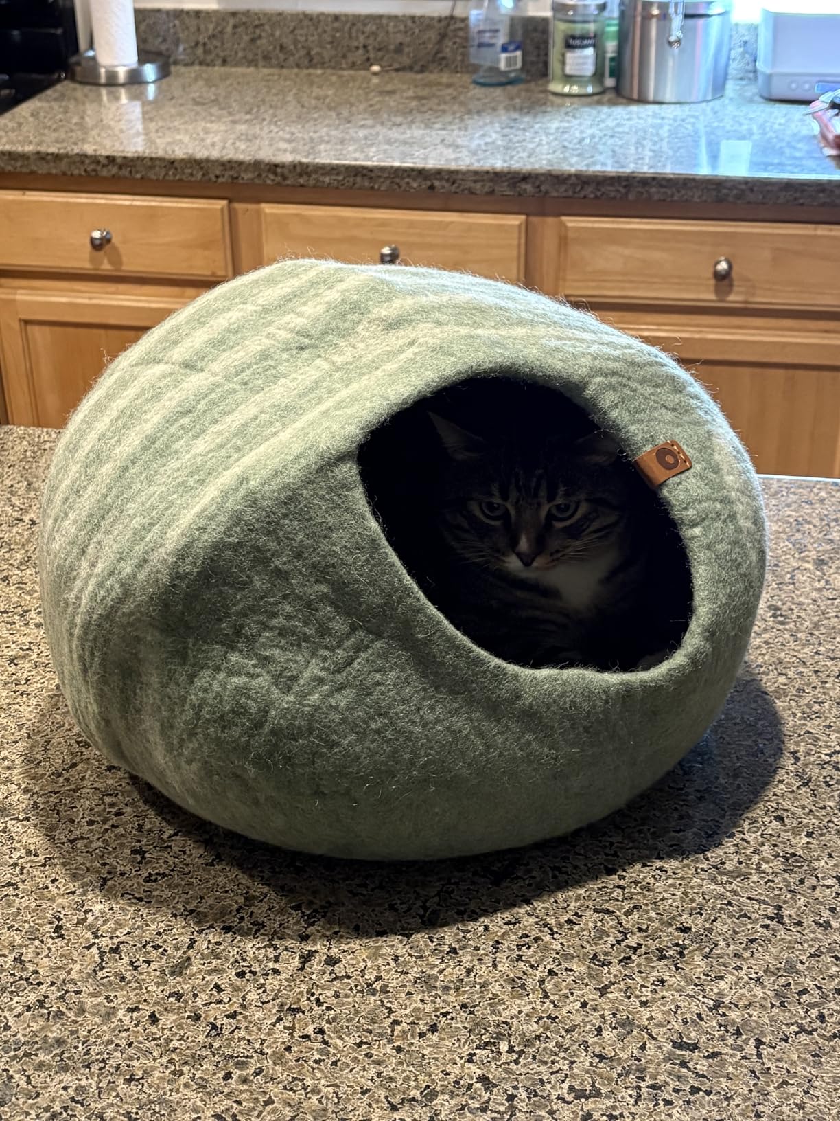 MEOWFIA Cat Cave - Premium Felt Cat Bed for Indoor Cats, Handmade Merino Wool (Light Gray, Medium) customer photo 1